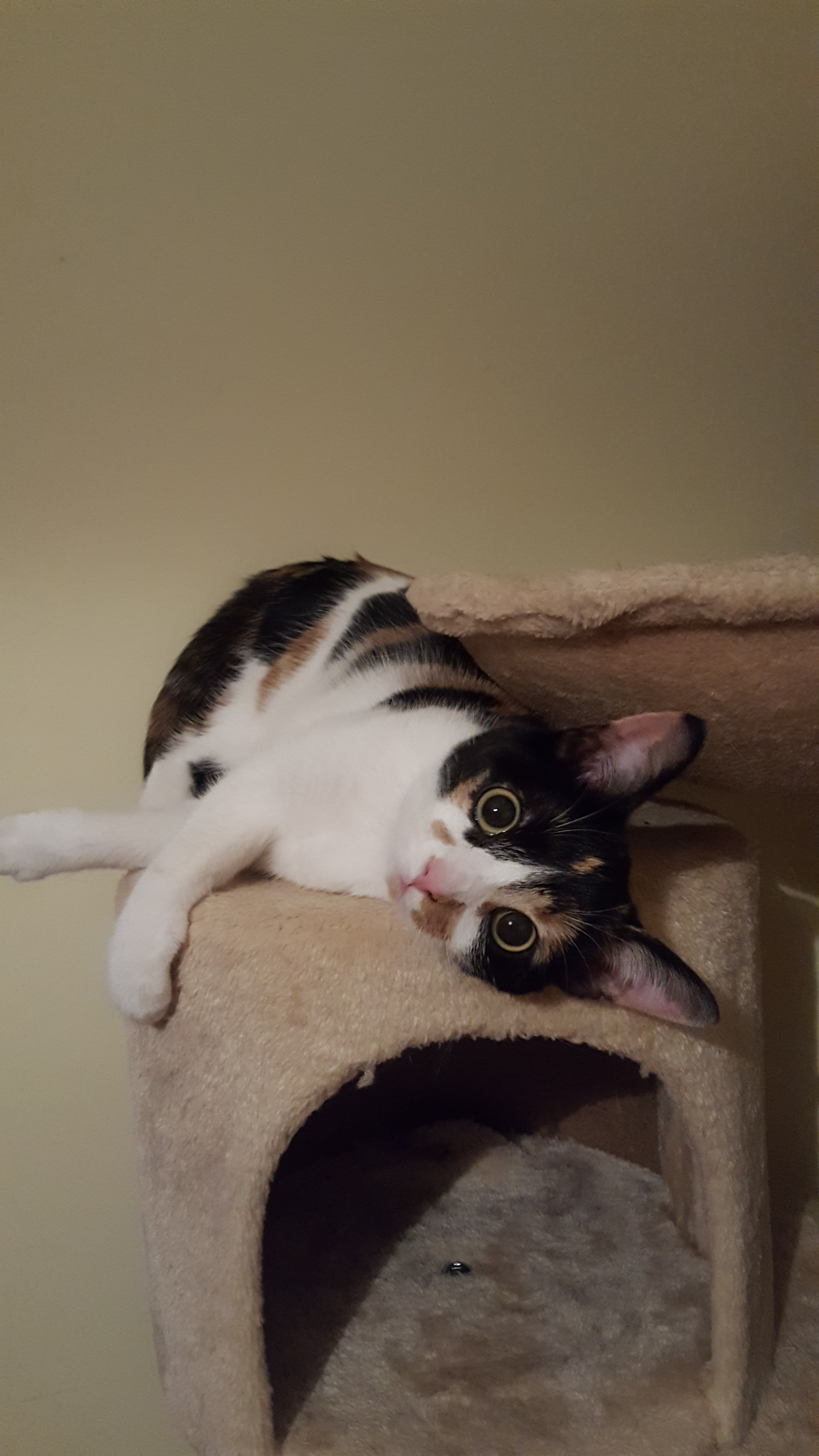 user avatar image for Hannah Heppenstall