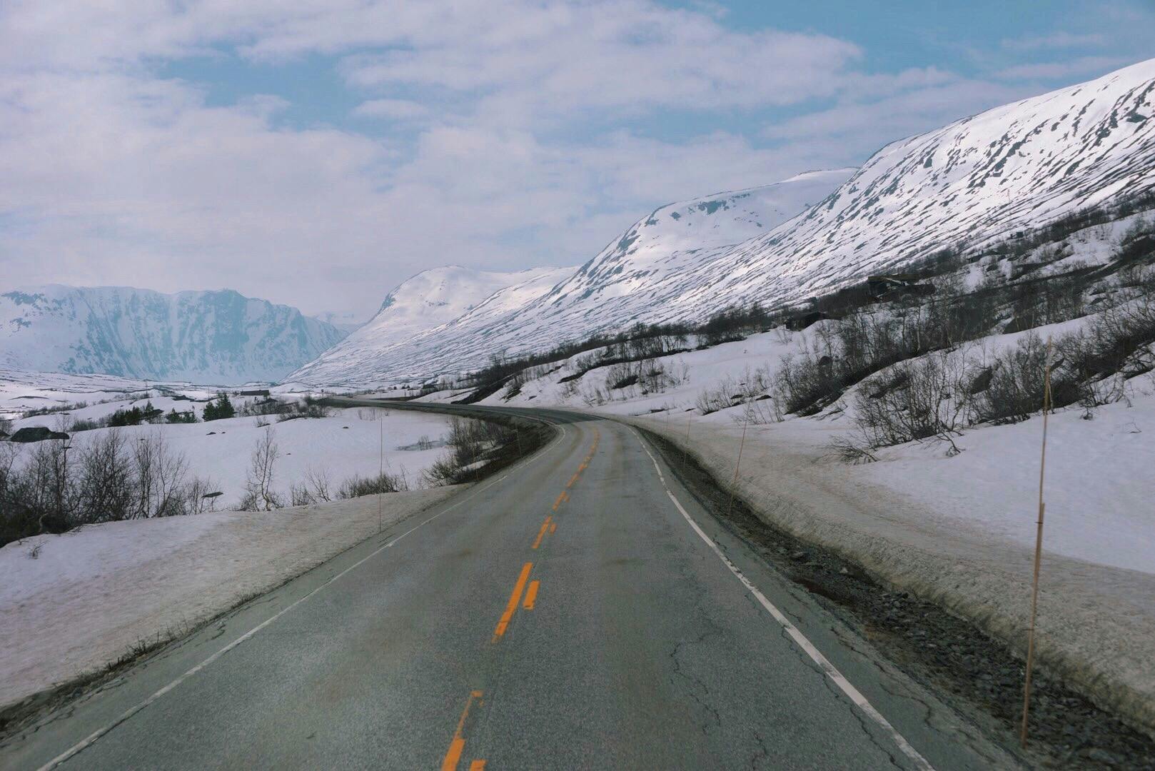 user avatar image for Elly