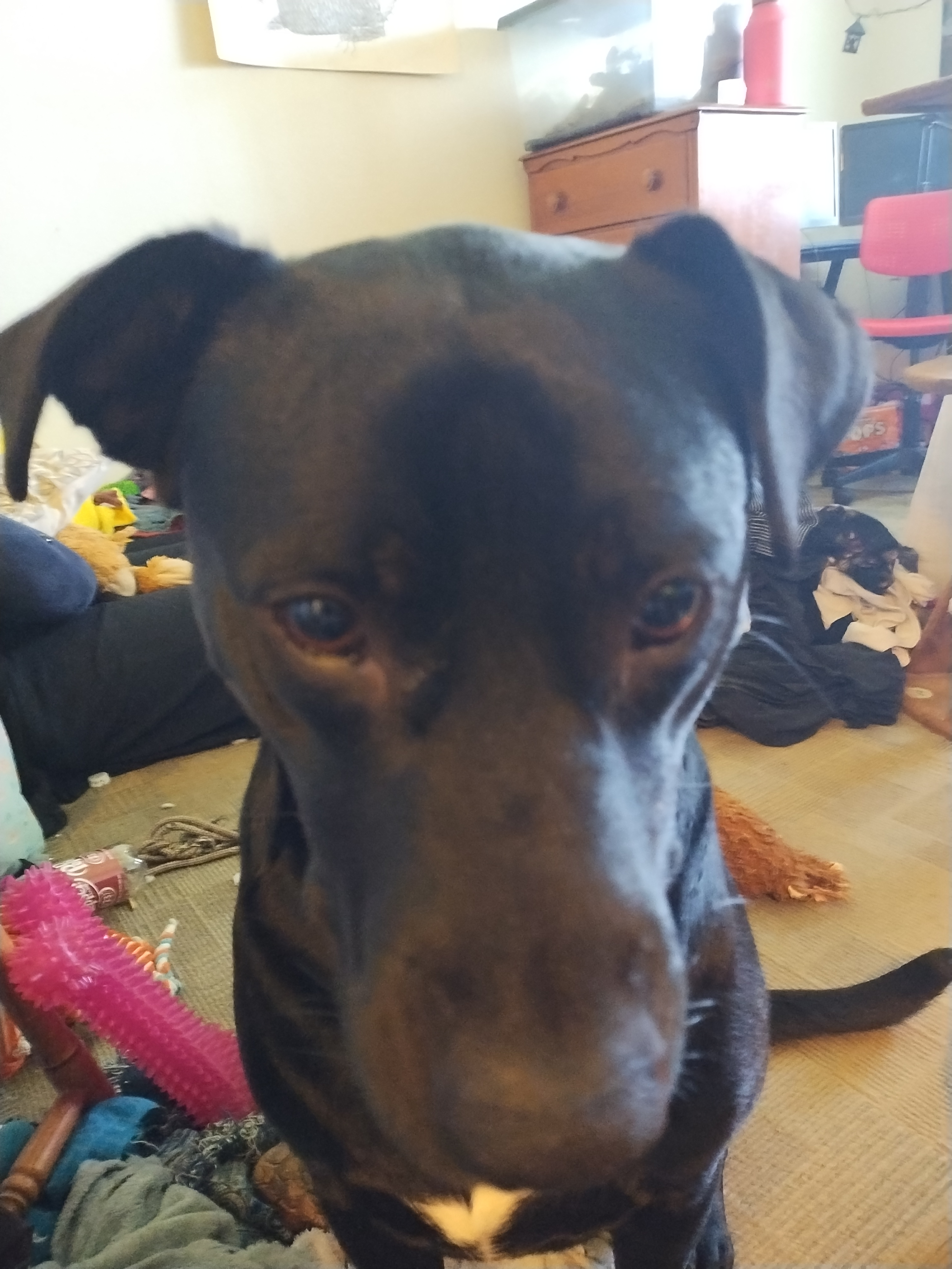 user avatar image for Sonder