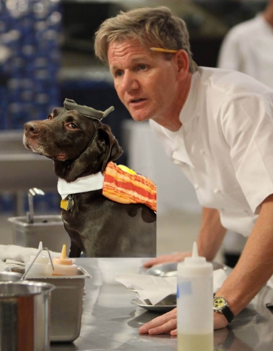 user avatar image for RaliaTheWolf