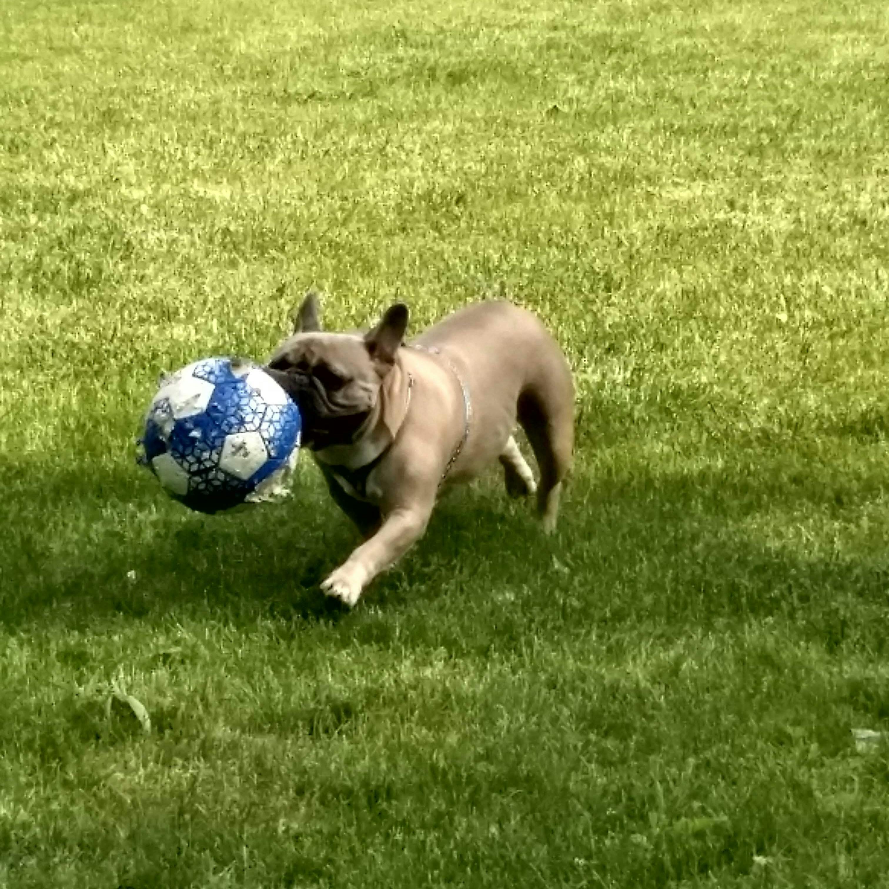 user avatar image for etid13