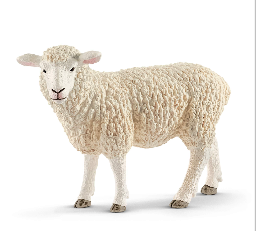 user avatar image for Owczy