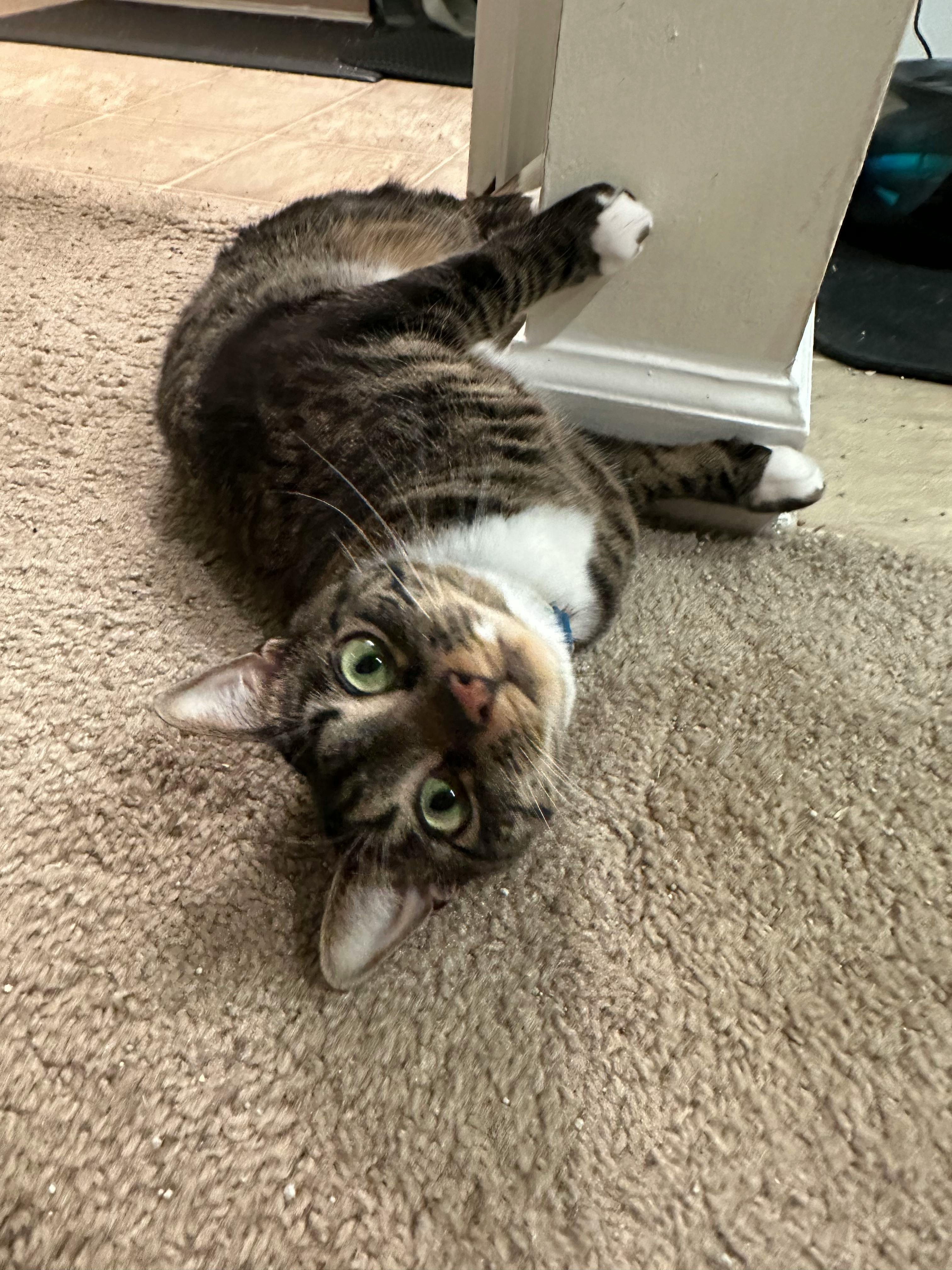 user avatar image for Emma