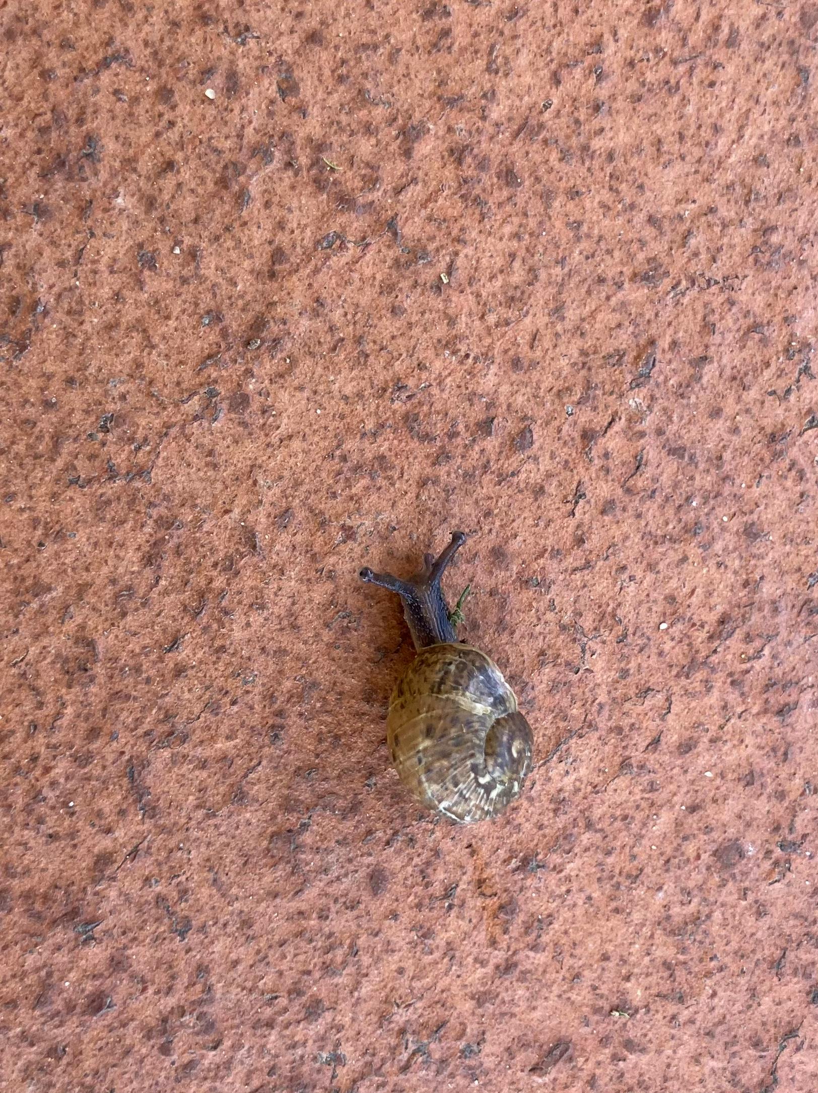 user avatar image for BethOfAus