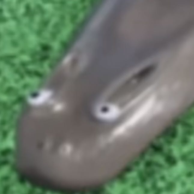 user avatar image for RunAroundSusie