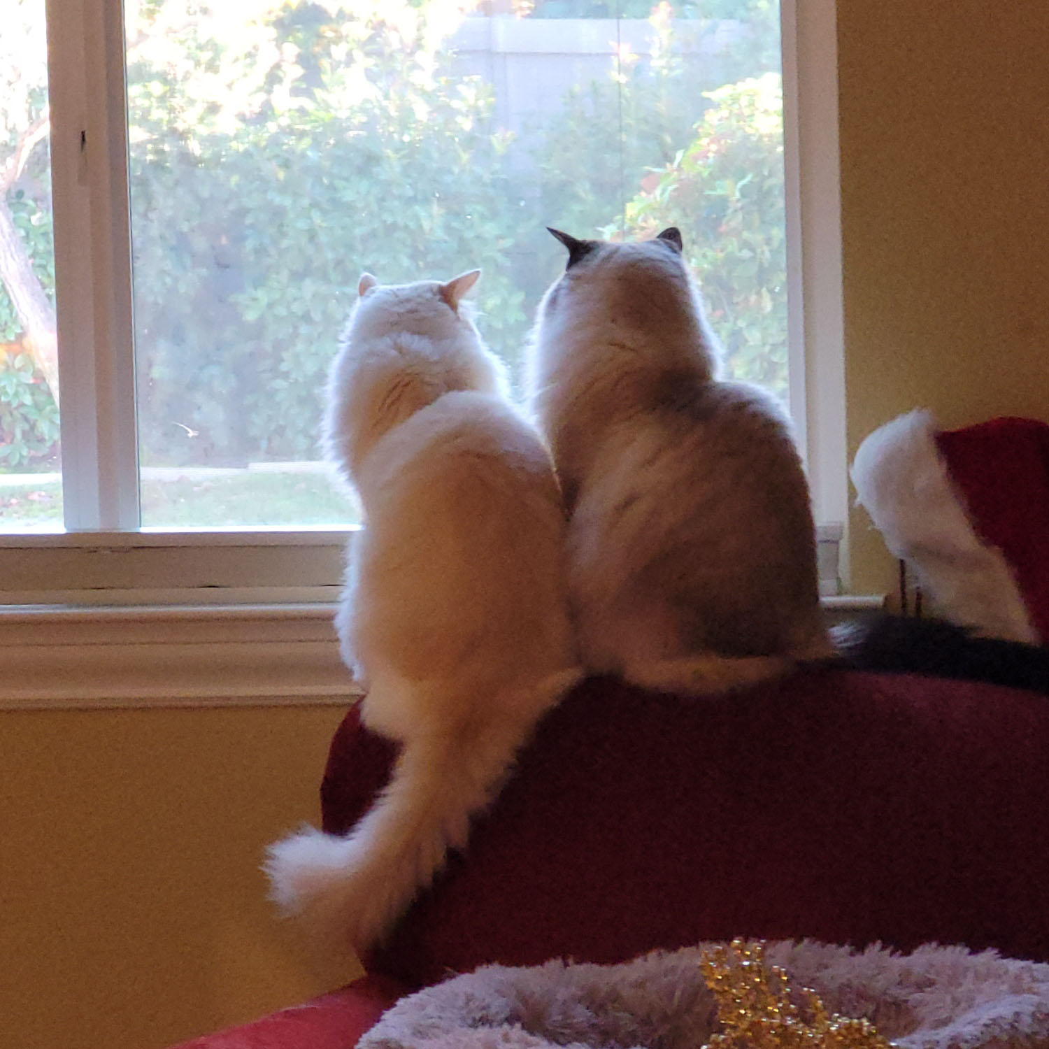 user avatar image for Morail