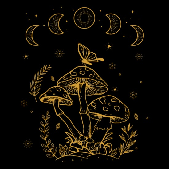 user avatar image for Ty