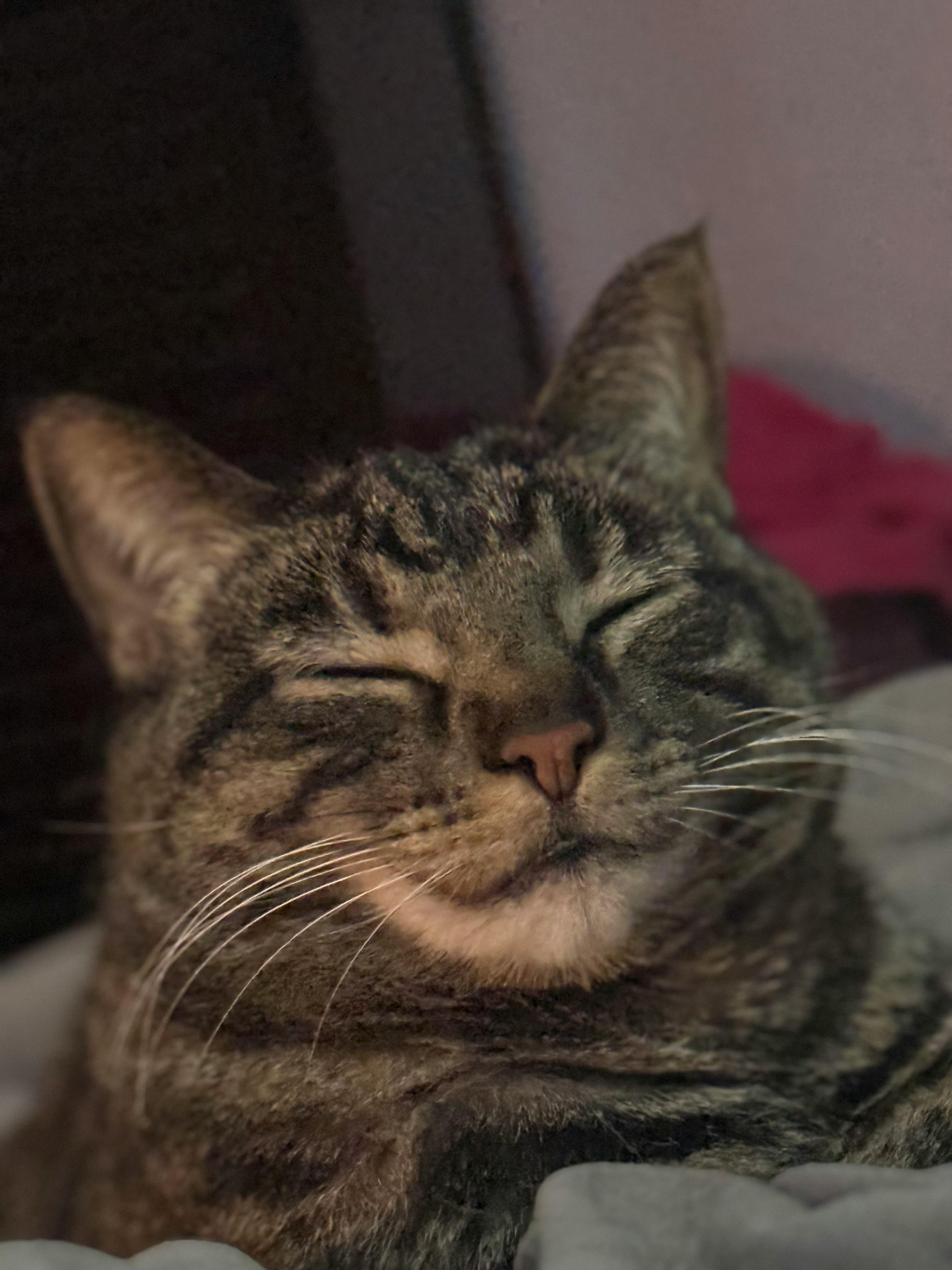 user avatar image for Snuff