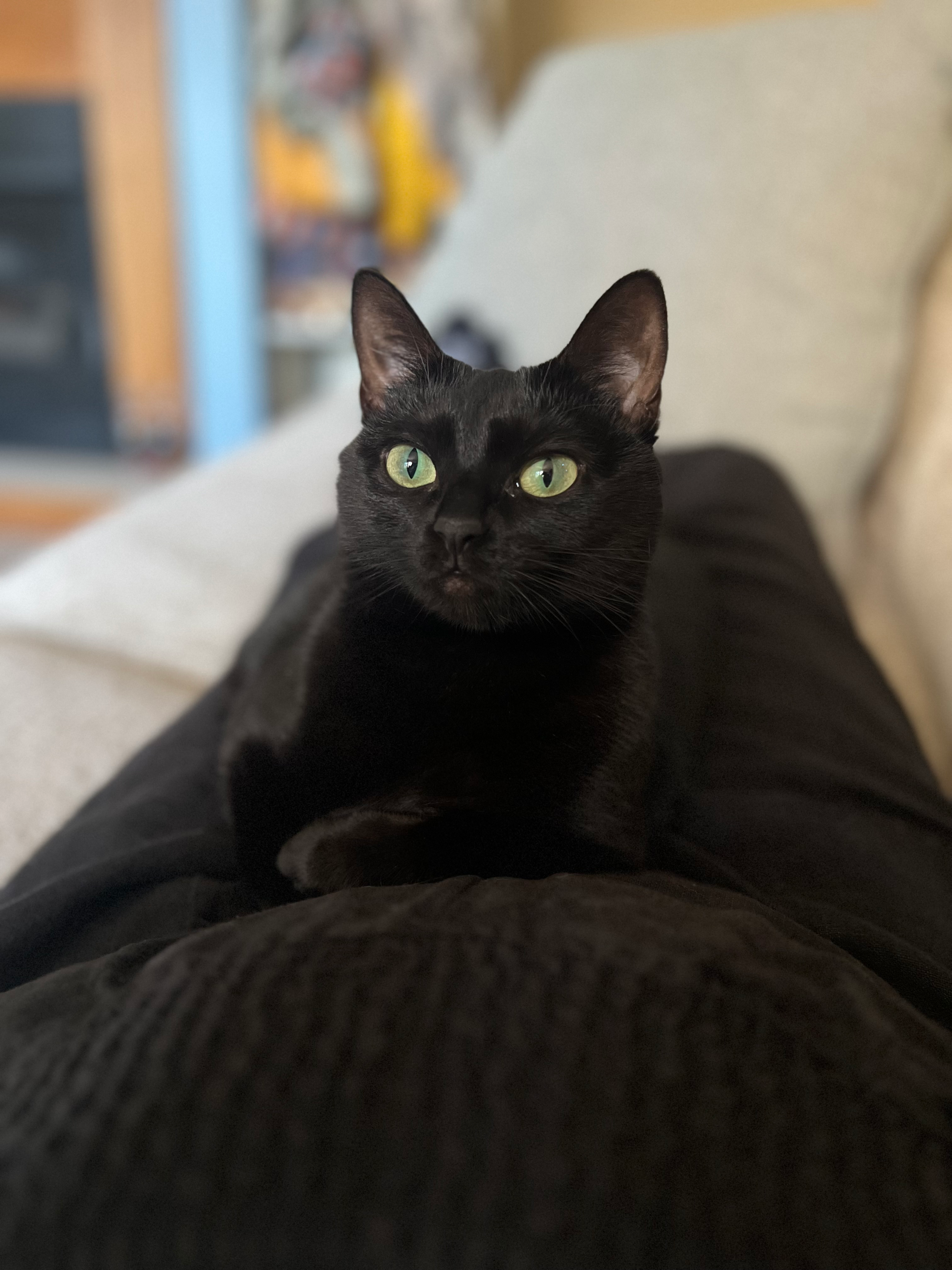 user avatar image for Alejandra Yaros