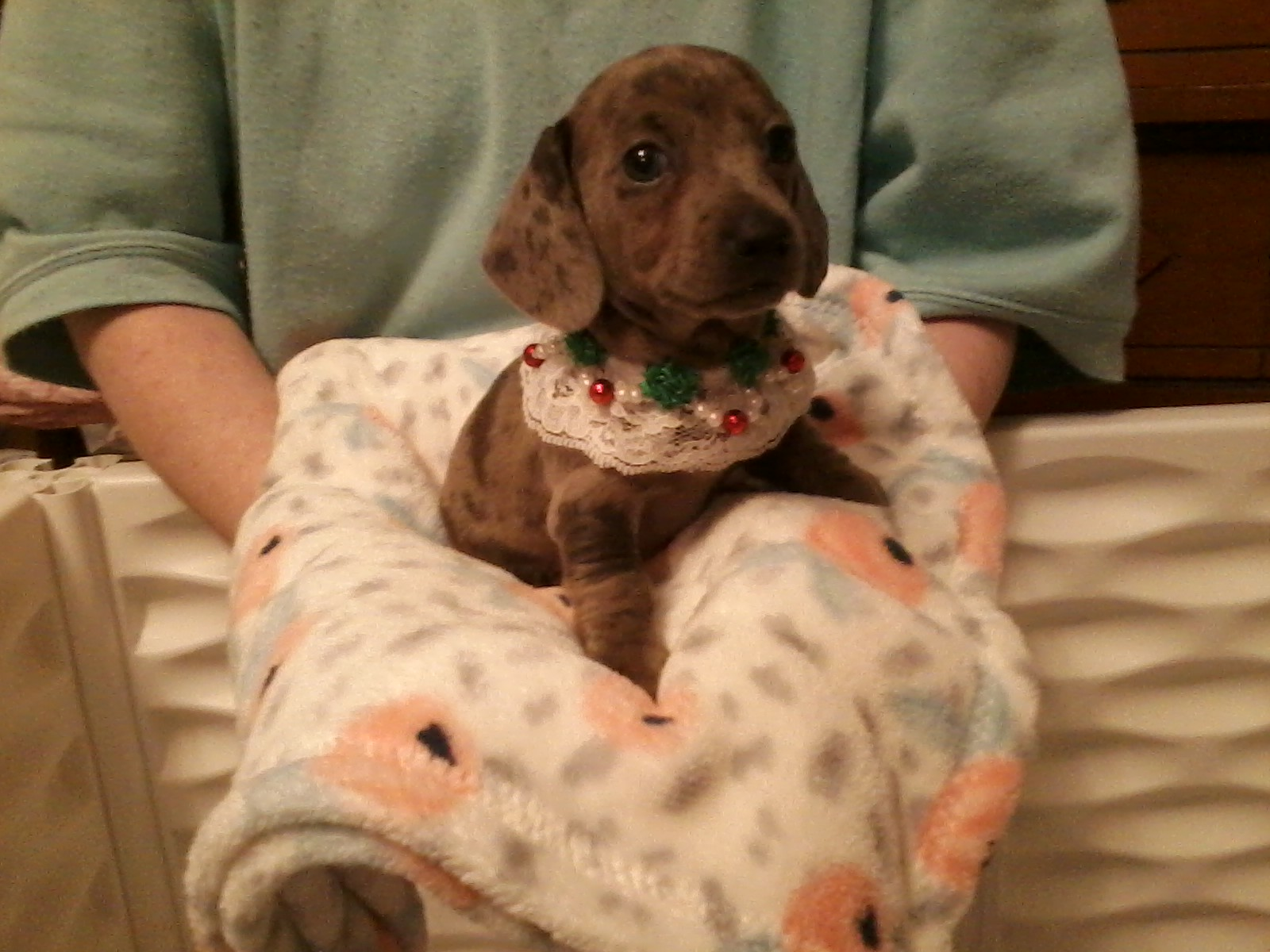 user avatar image for Meagan