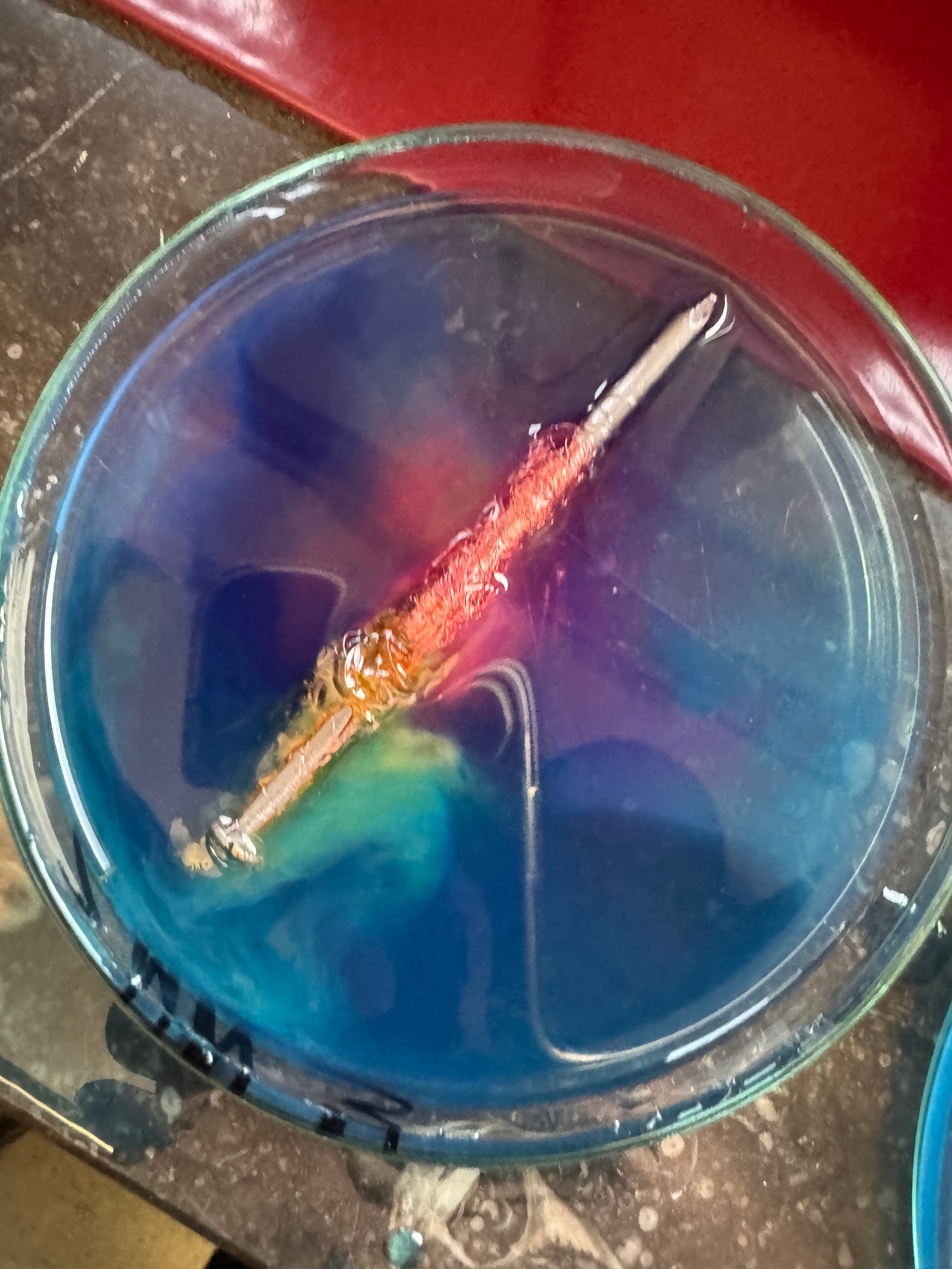 user avatar image for TV42