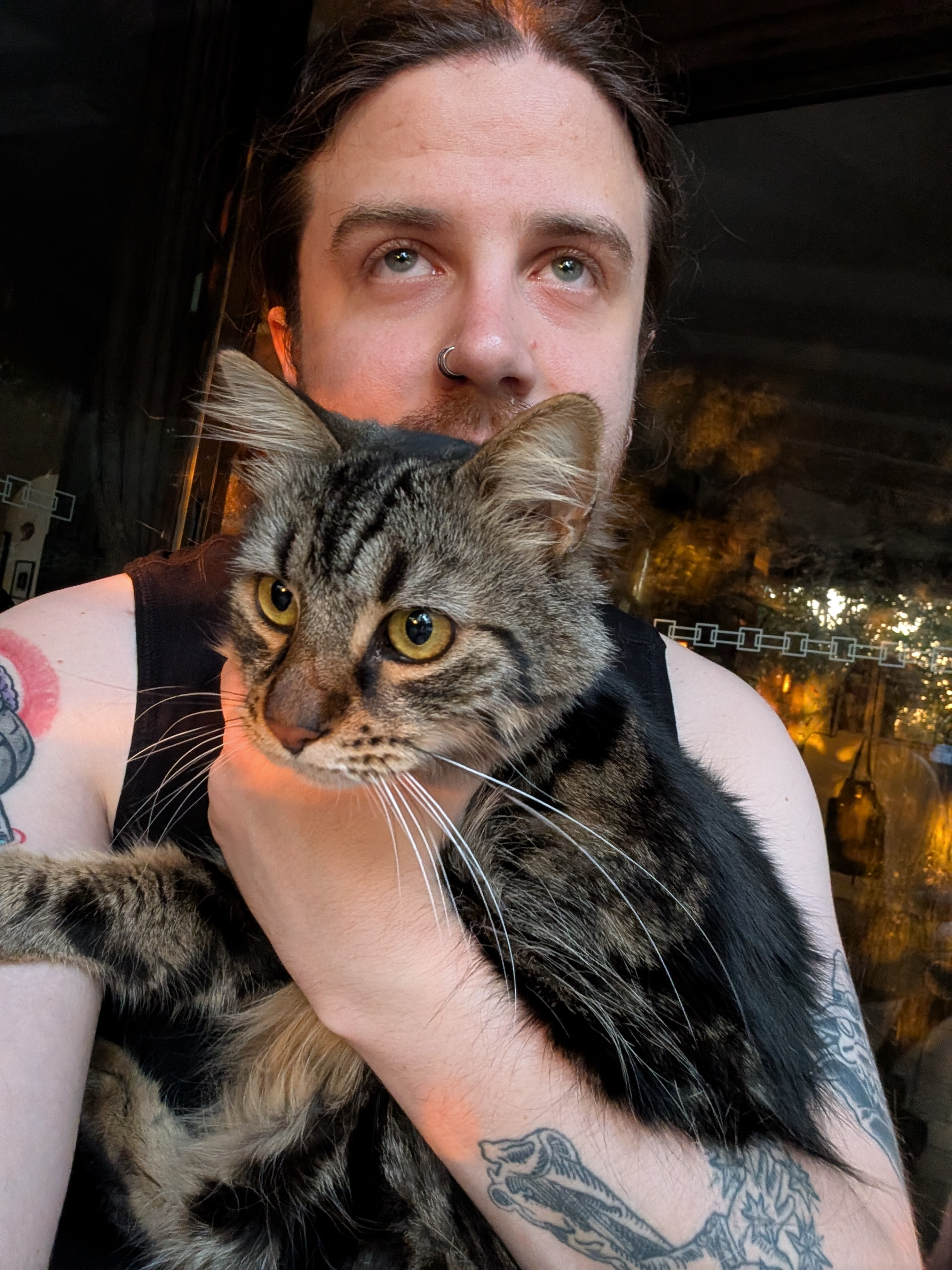 user avatar image for Dylan Fewings 