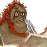 user avatar image for Ooook