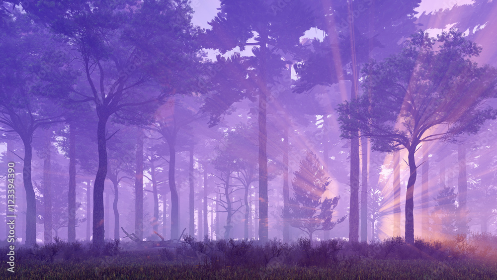 user avatar image for 0-0