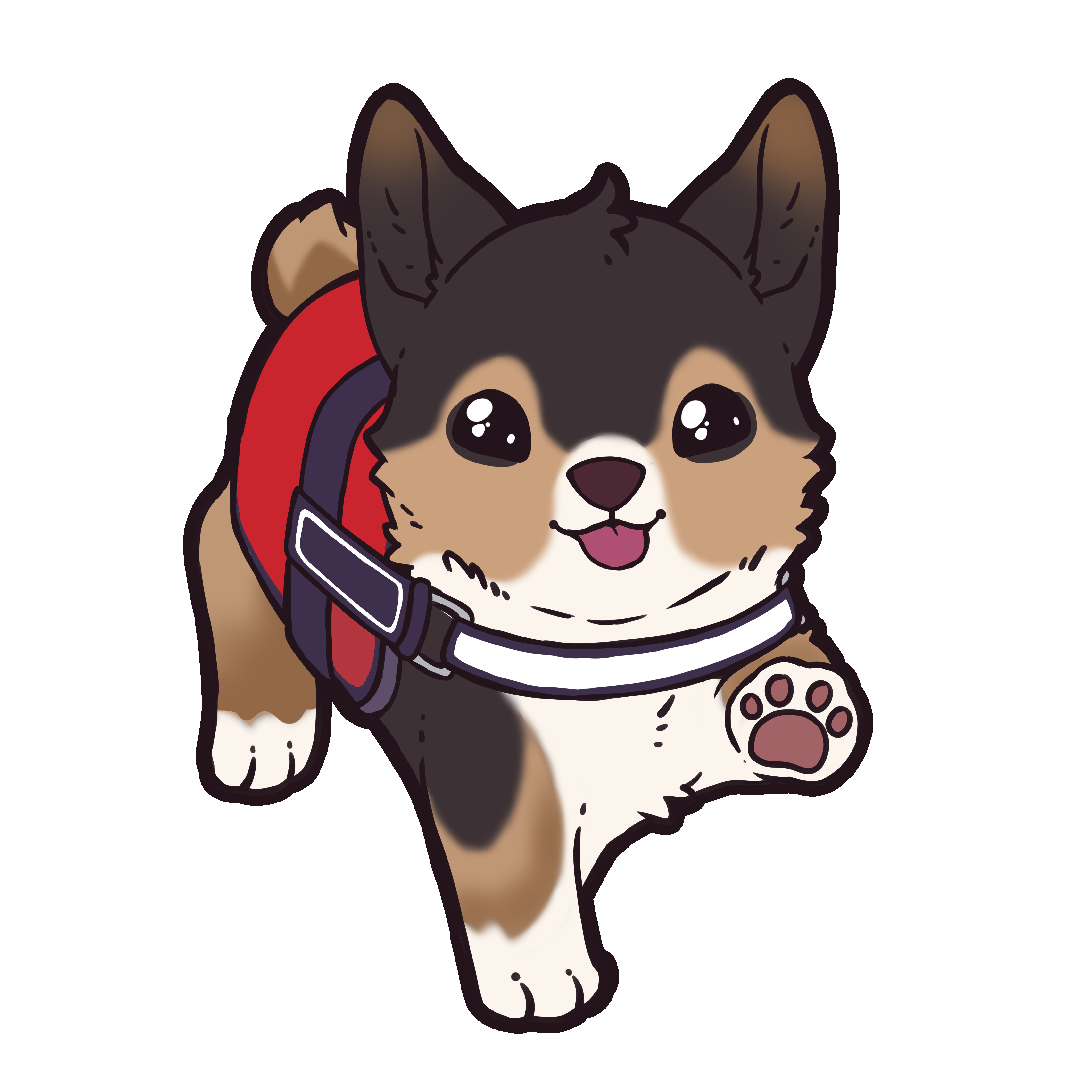 Roper pin