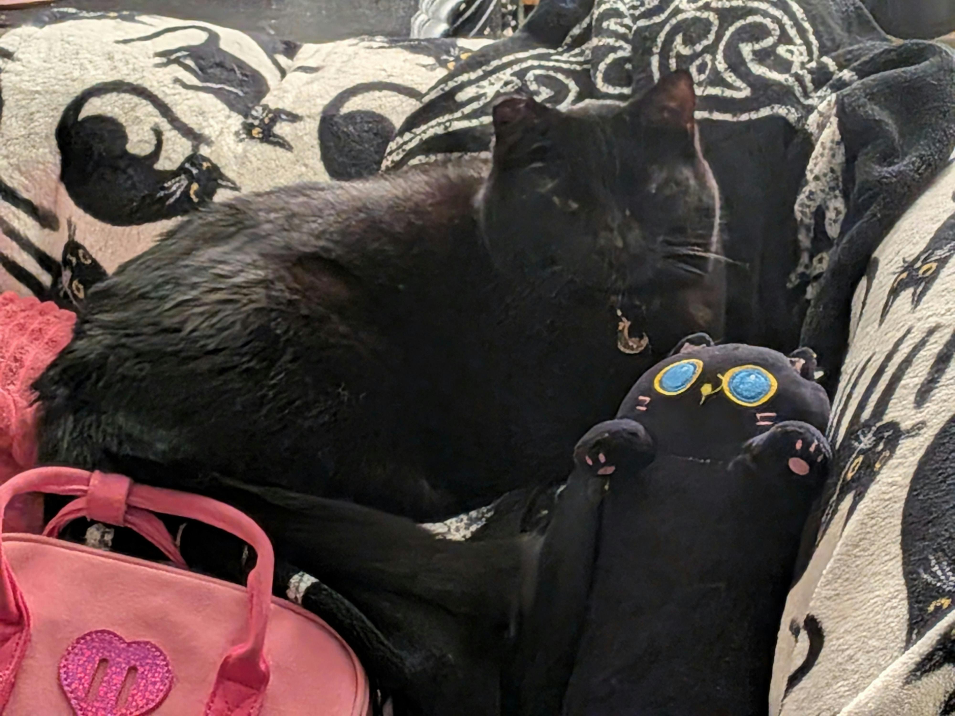 user avatar image for ashton alvord 