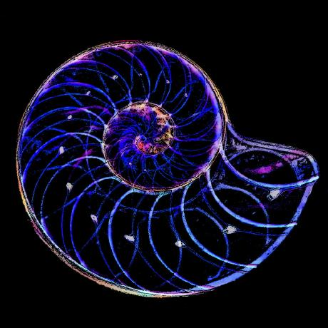 user avatar image for nautilu5