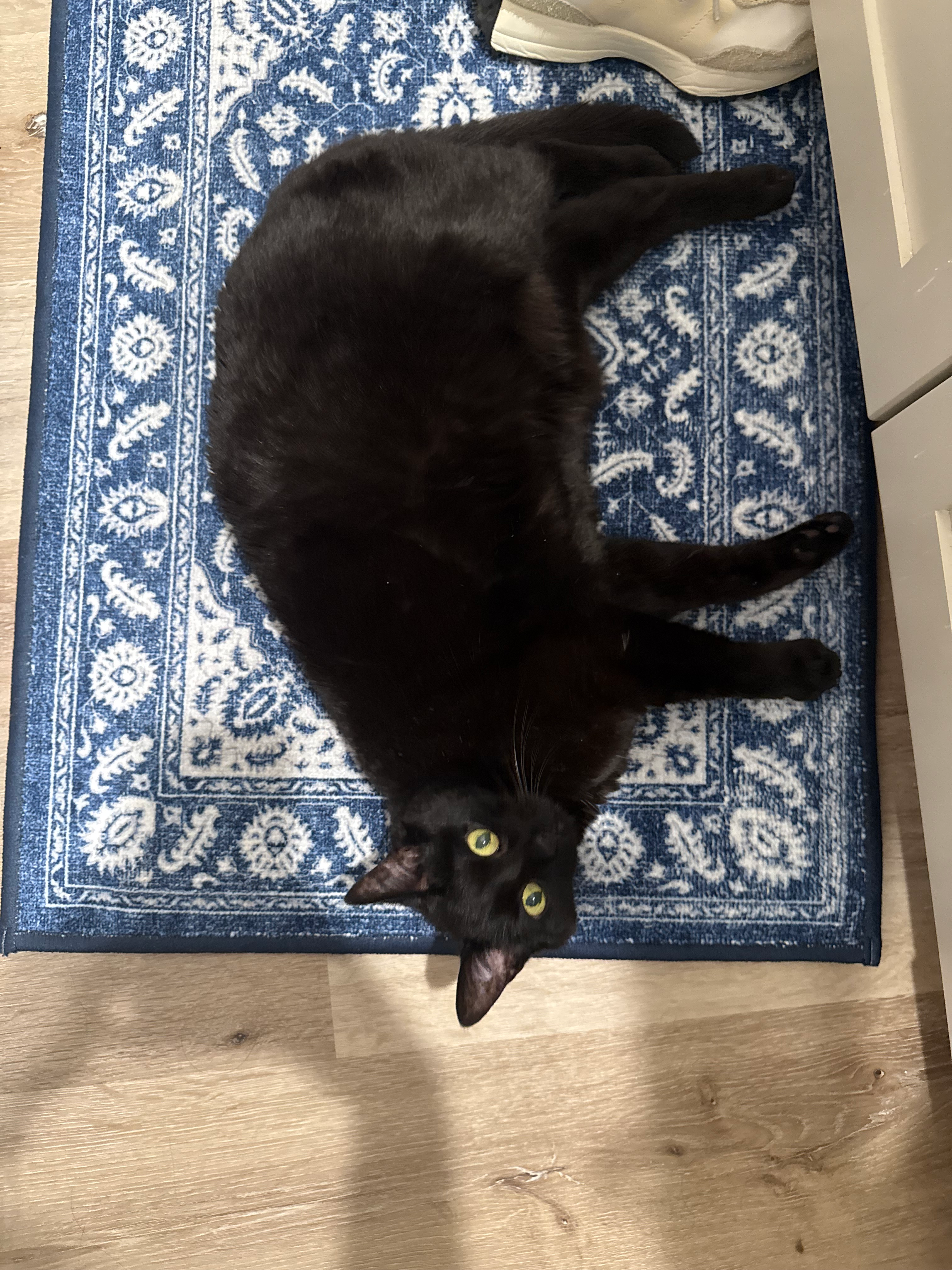 user avatar image for Abigail Carruth