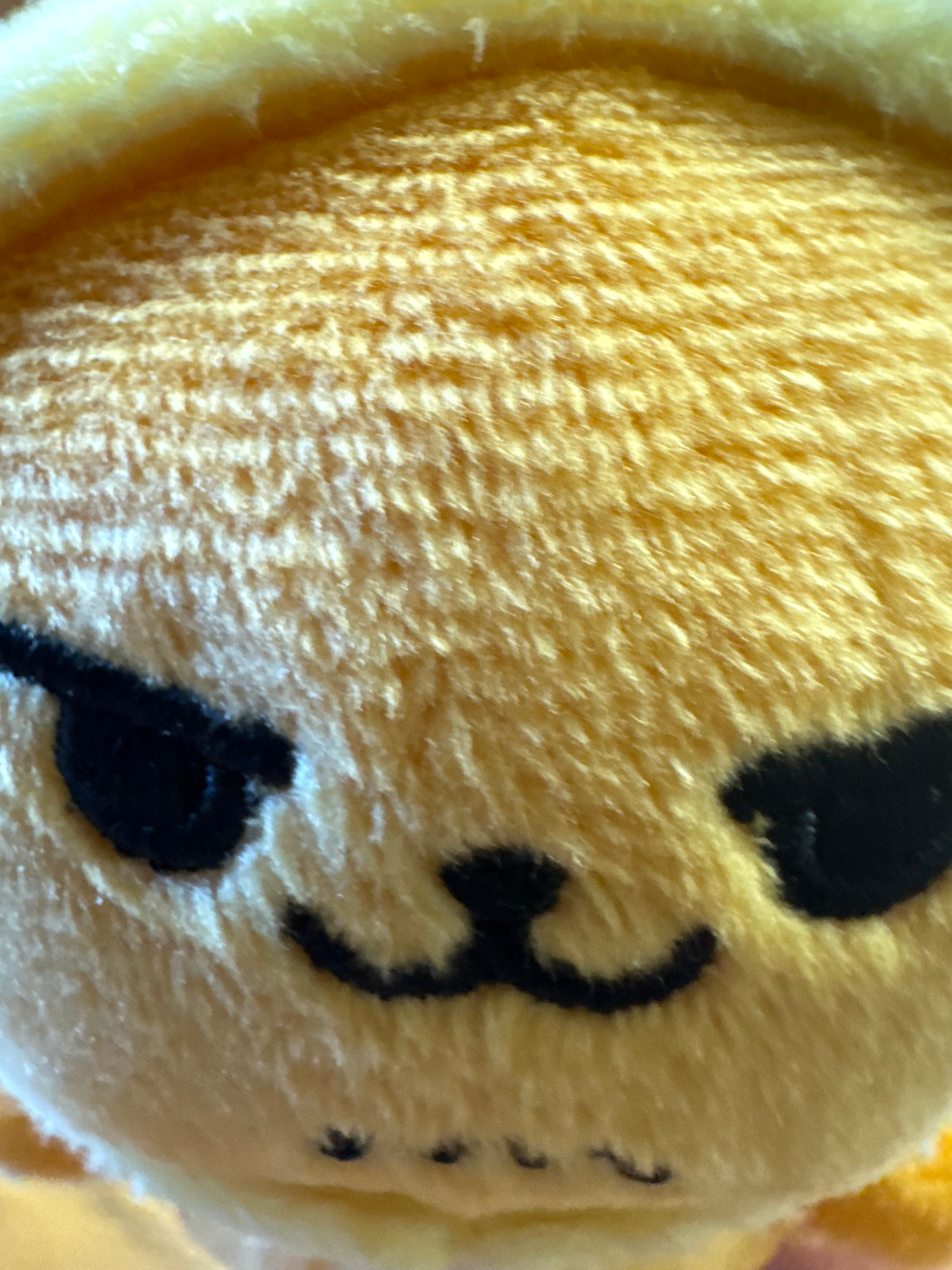 user avatar image for gio-v