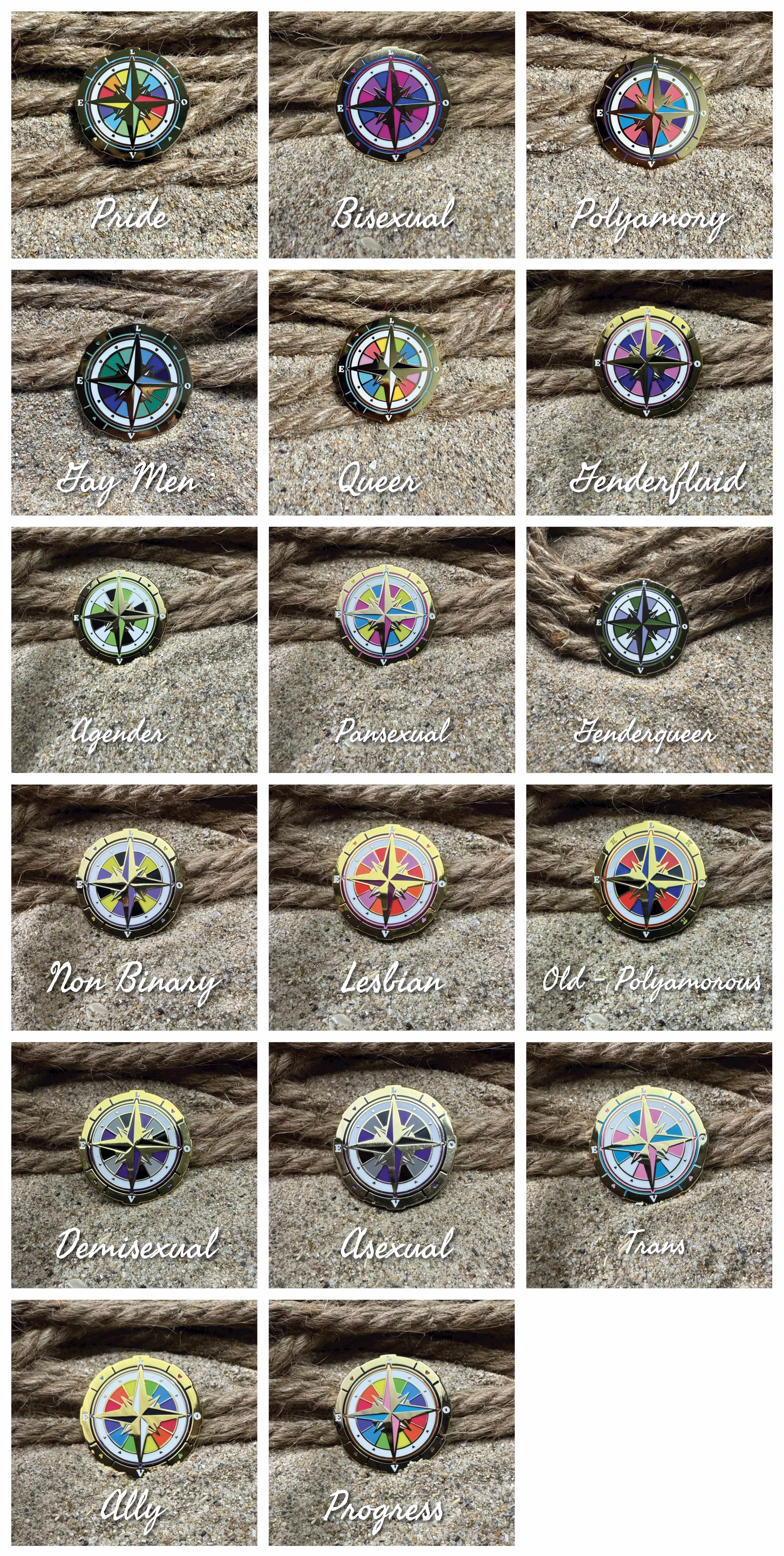 ✦  Queer North Pin