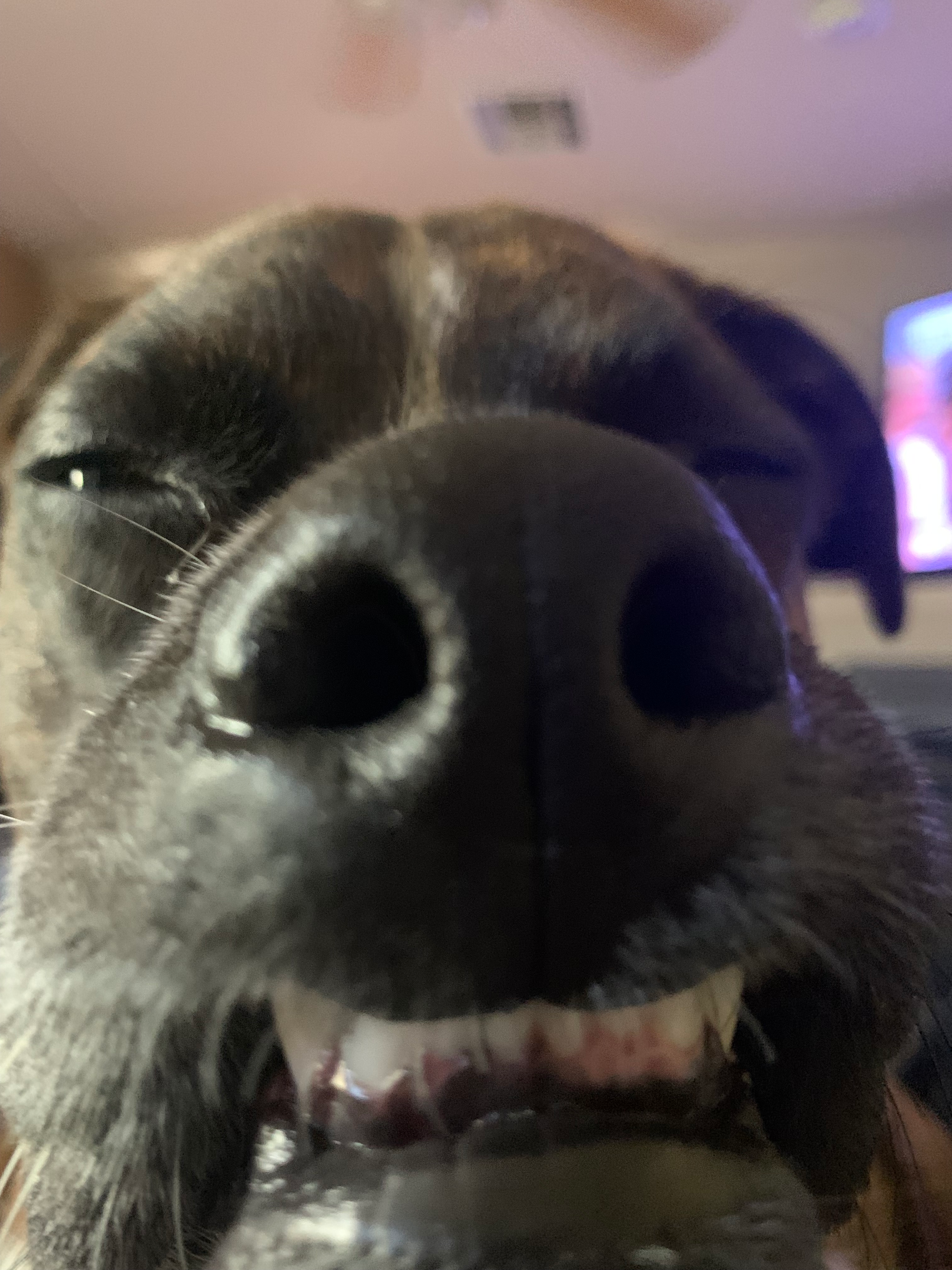 user avatar image for Ashley W