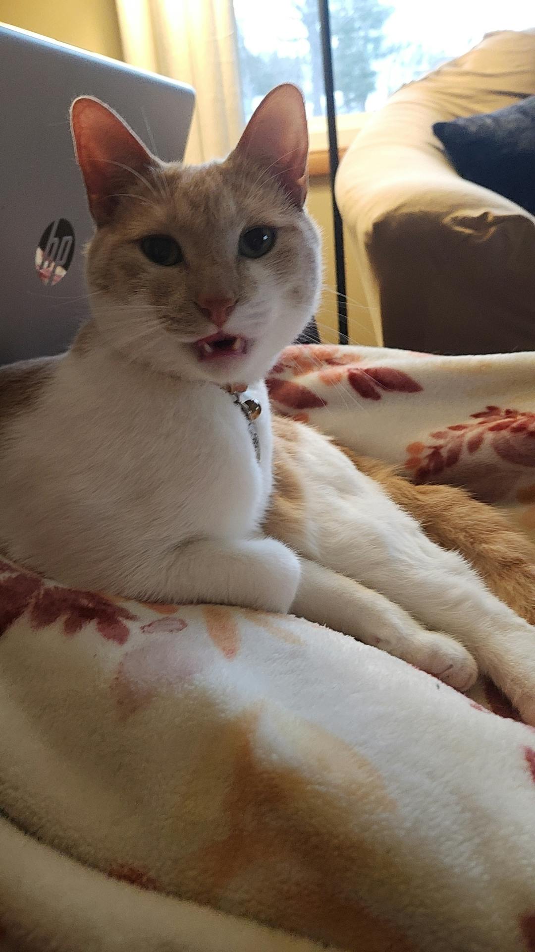 user avatar image for Natalie