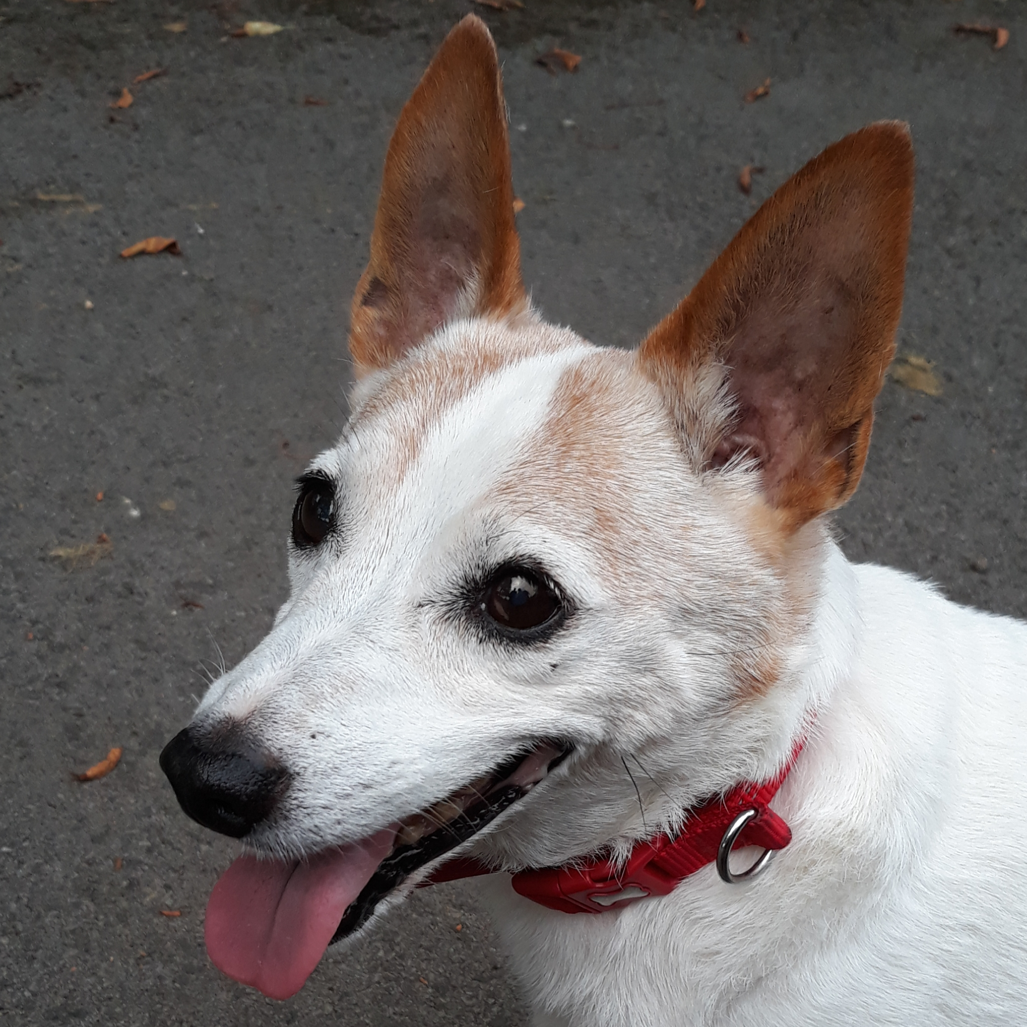 user avatar image for Charlie Wellden