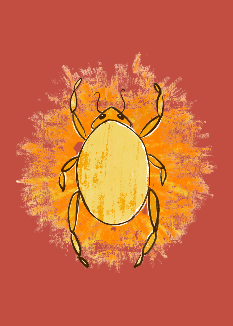 Sun Beetle Sticker