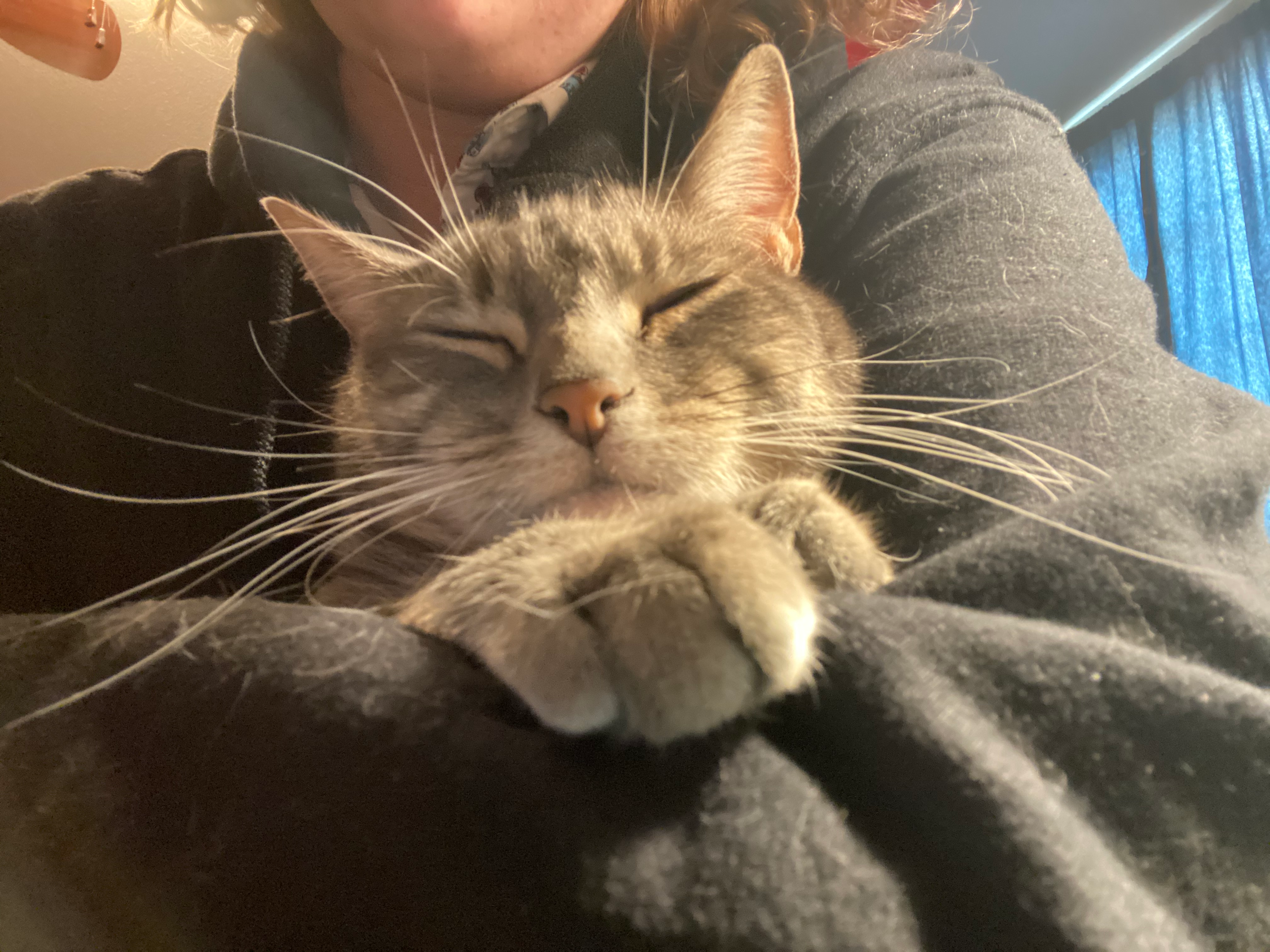 user avatar image for XandertheOmen