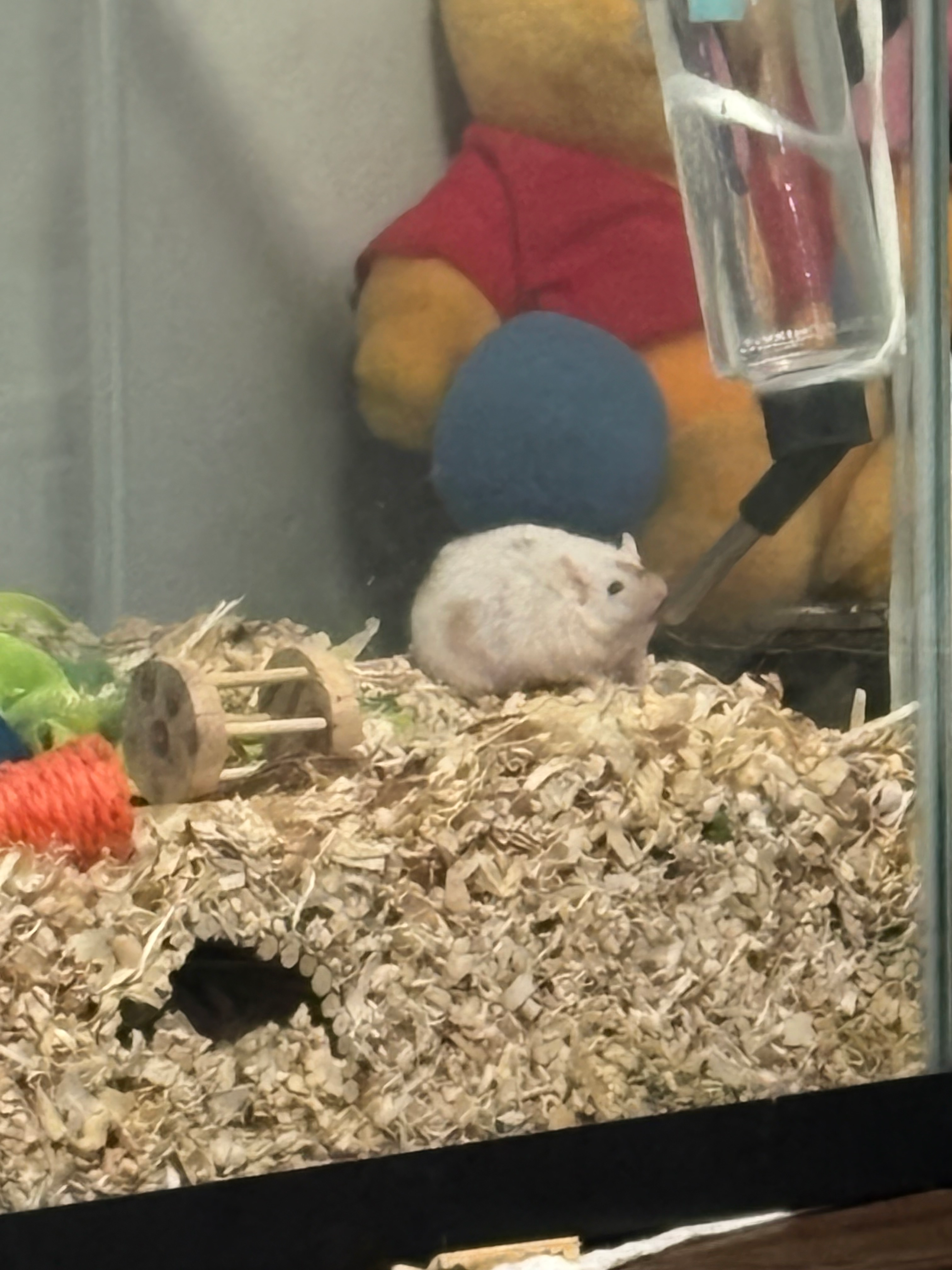 user avatar image for Luka