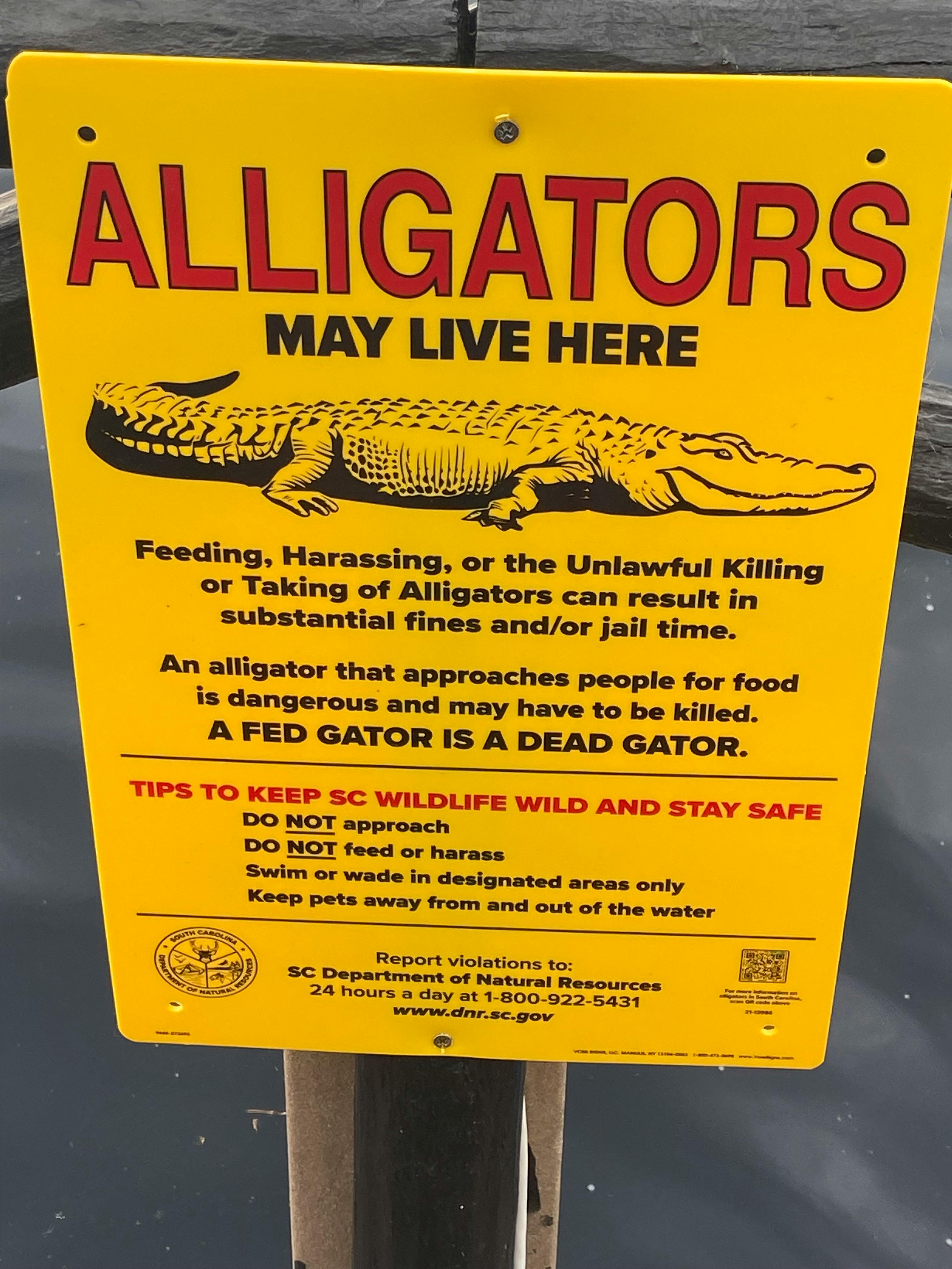 user avatar image for Shadd