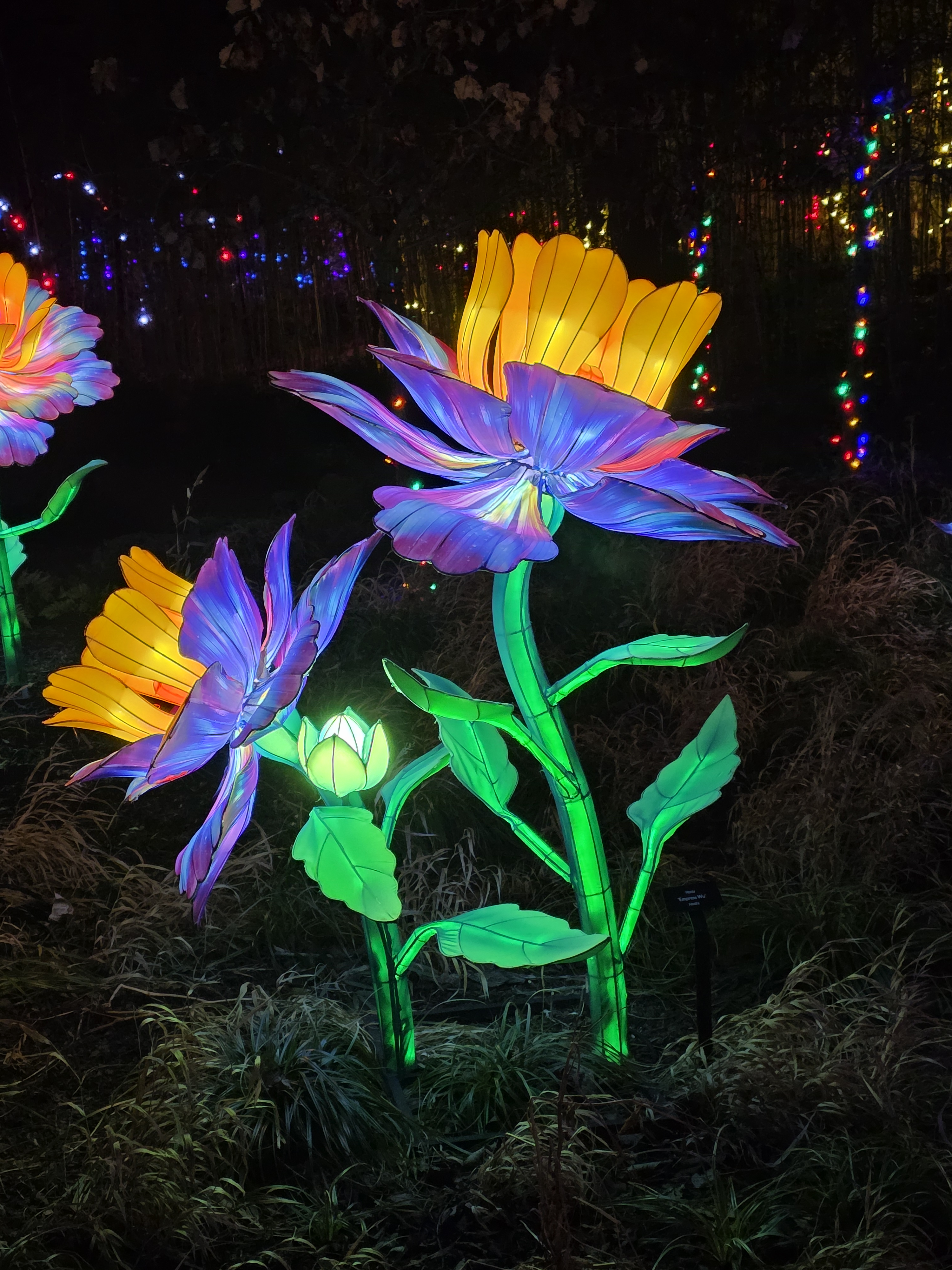 user avatar image for PharmersDaughter 