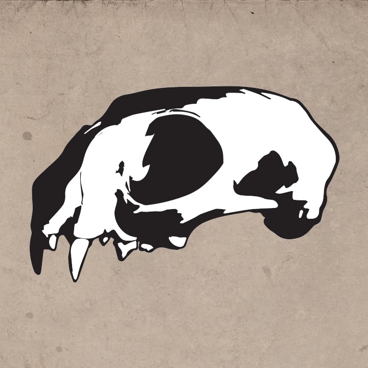 user avatar image for Avery Alder