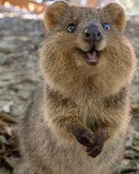 user avatar image for KawaiiRedhead