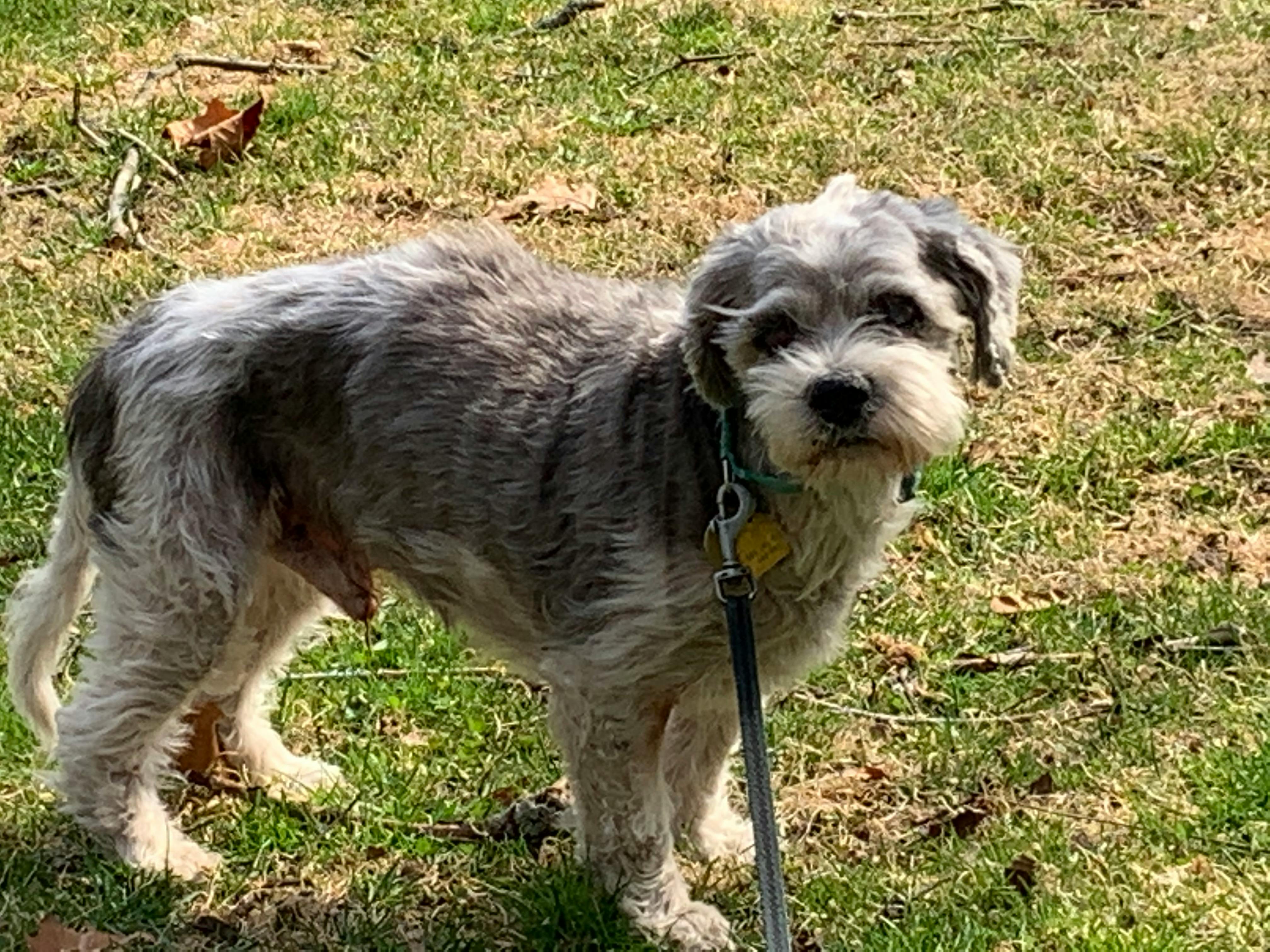 user avatar image for Karen