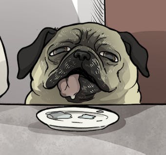 user avatar image for Riley