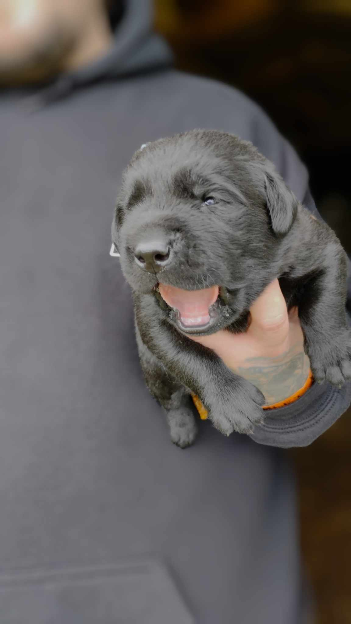 user avatar image for GrizzlyRobin