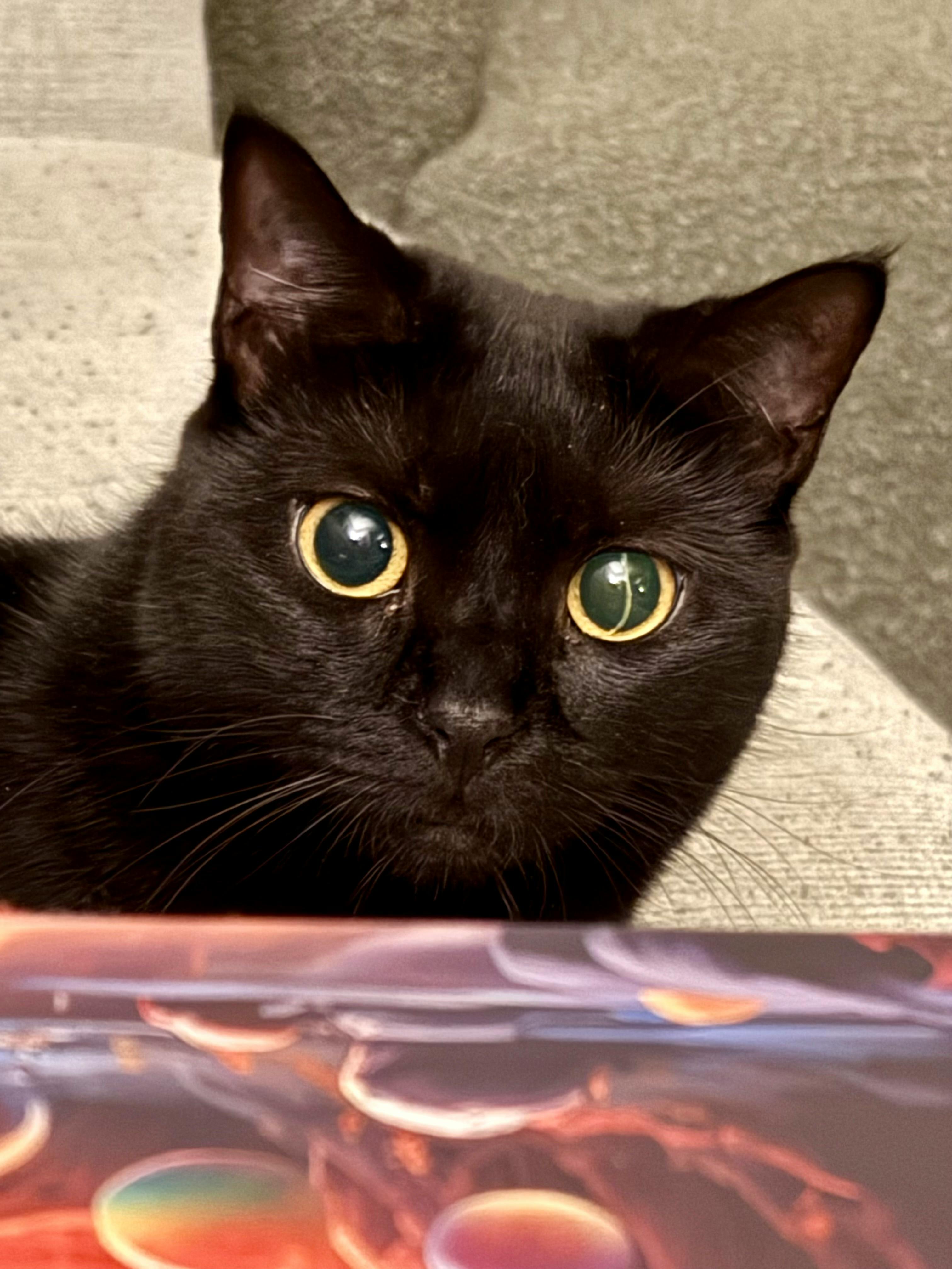 user avatar image for Joanna Ireland