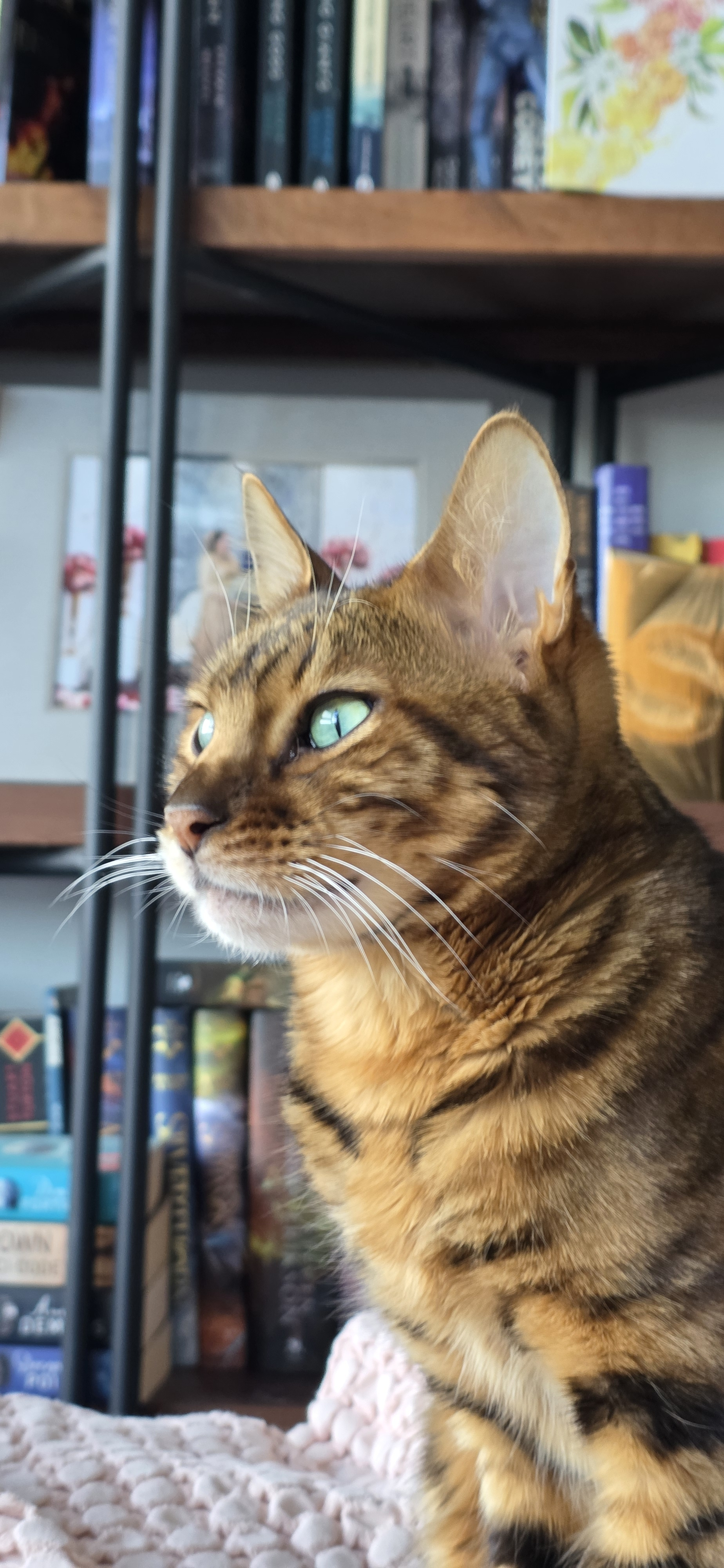 user avatar image for Shahid Hasan