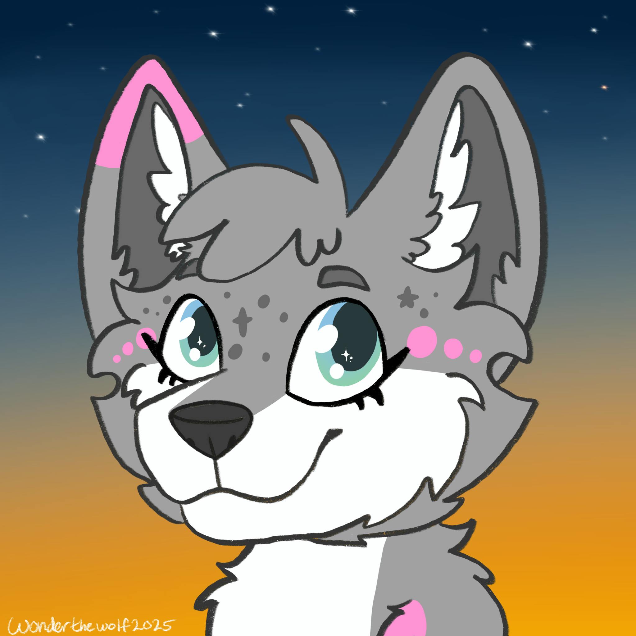 user avatar image for Wonder