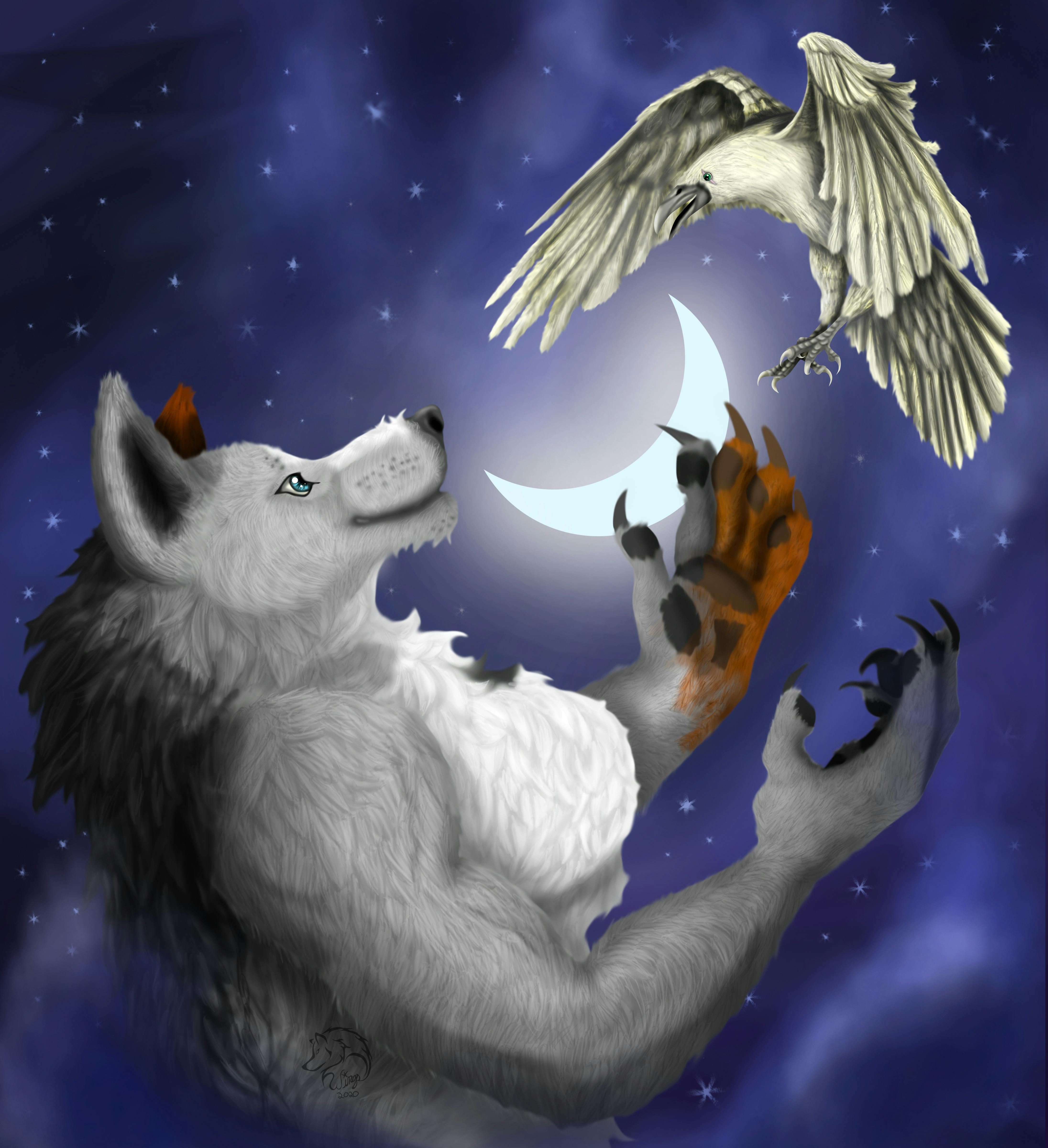 user avatar image for Wings O'Shaughnessy