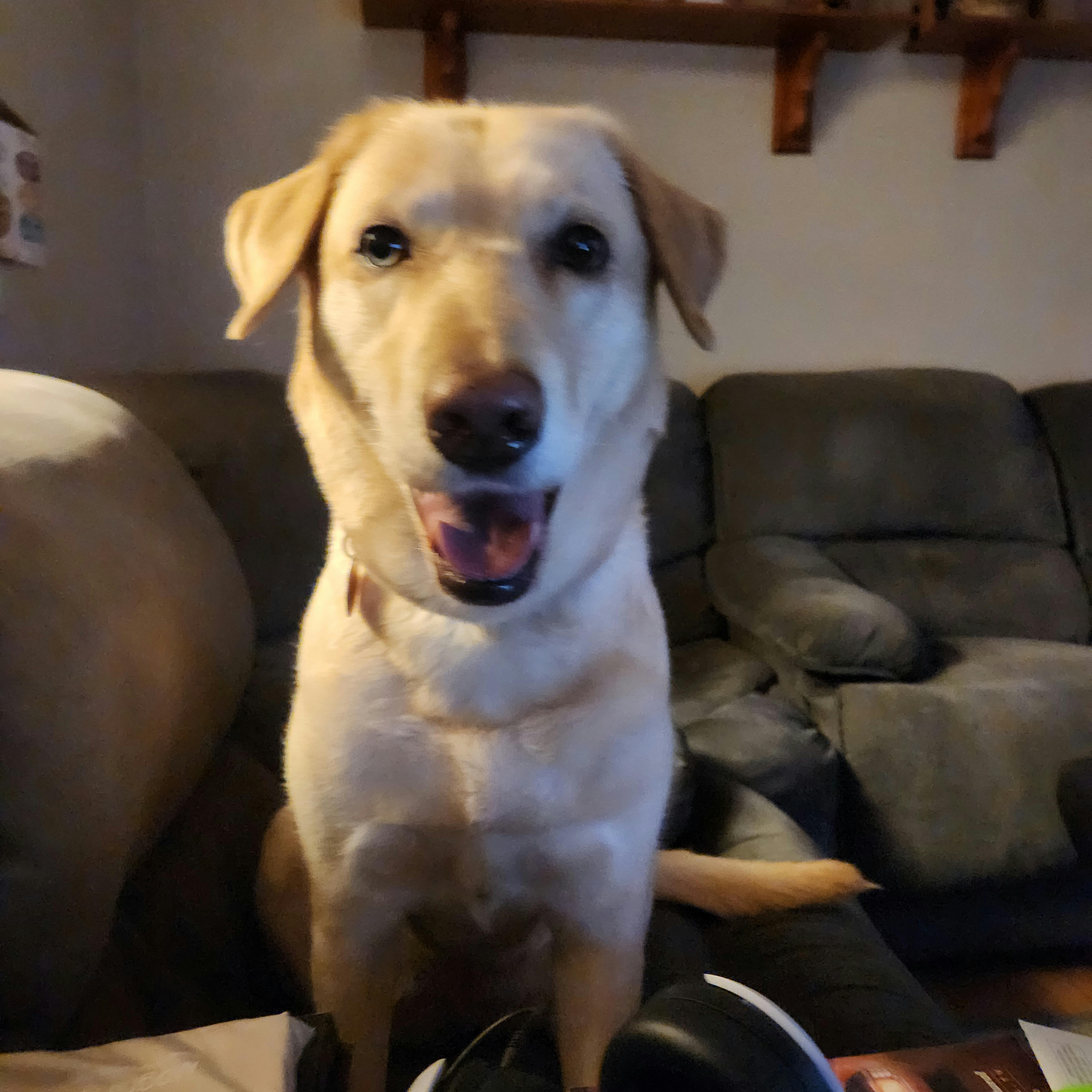 user avatar image for Luis Lorenzo