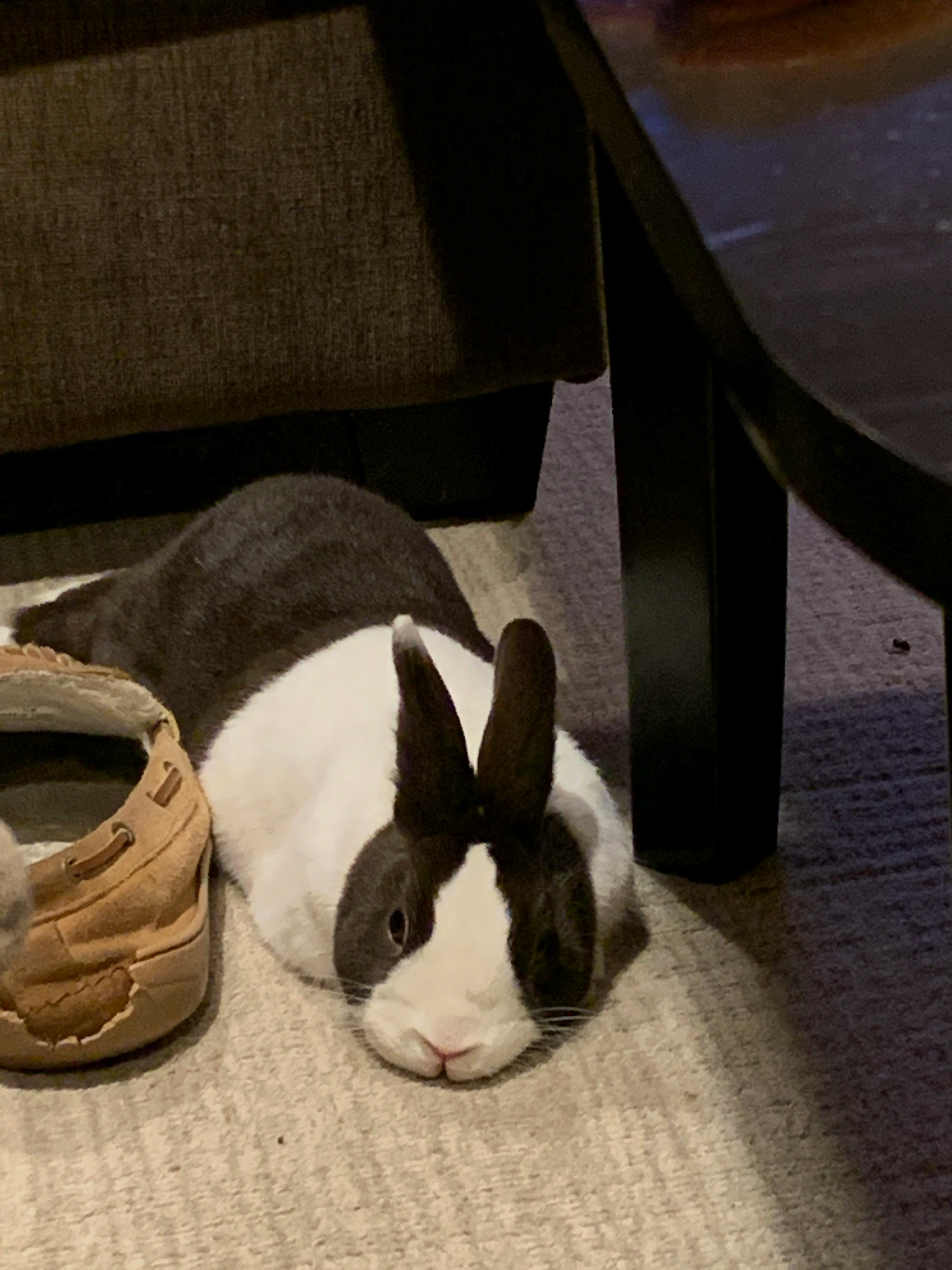 user avatar image for Matt