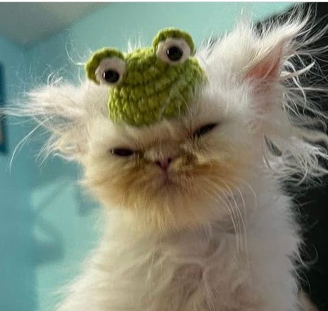 user avatar image for Lex