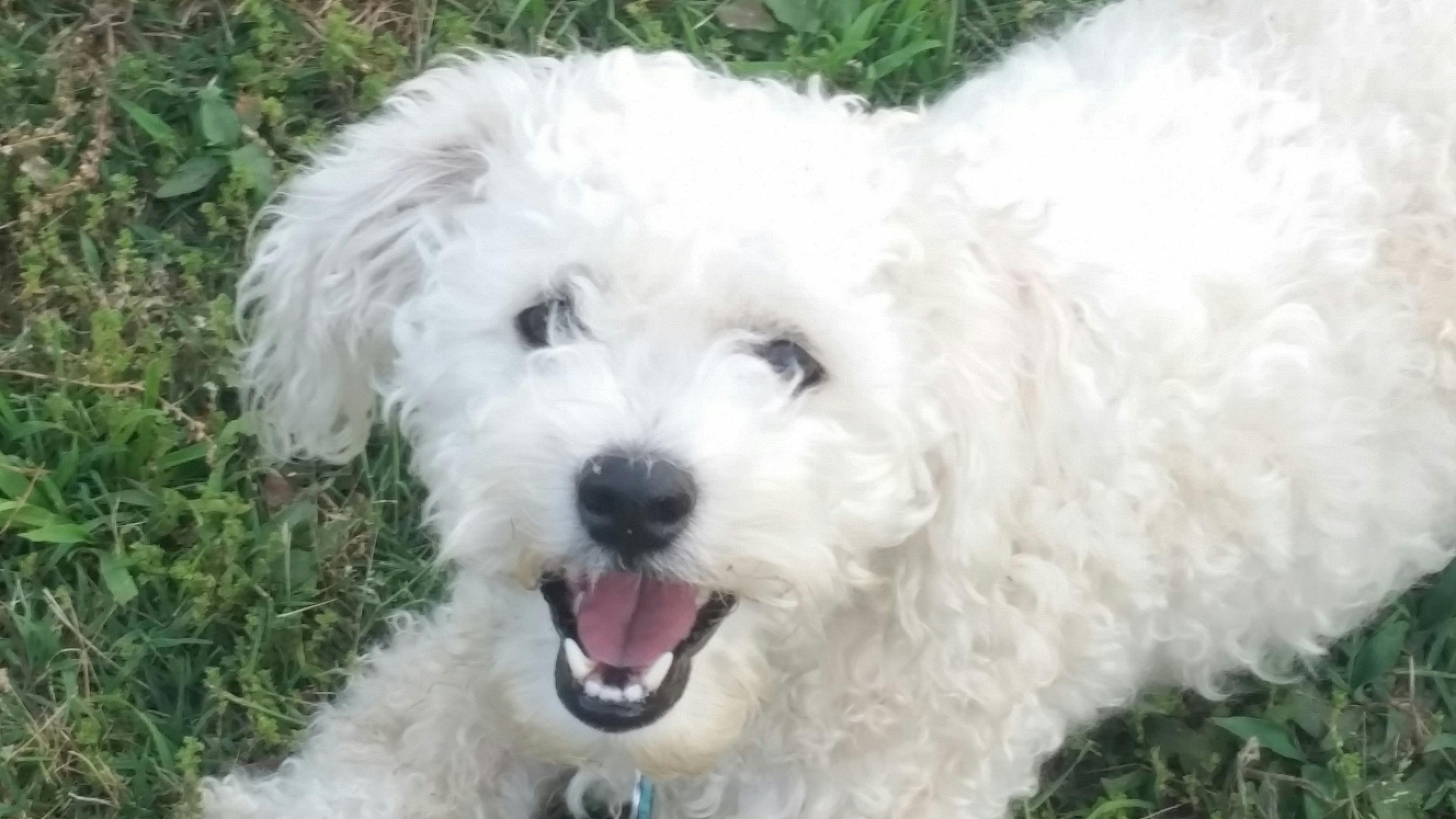 user avatar image for David Wihelm