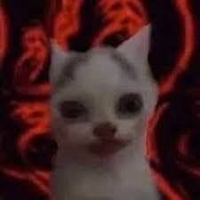 user avatar image for Paint