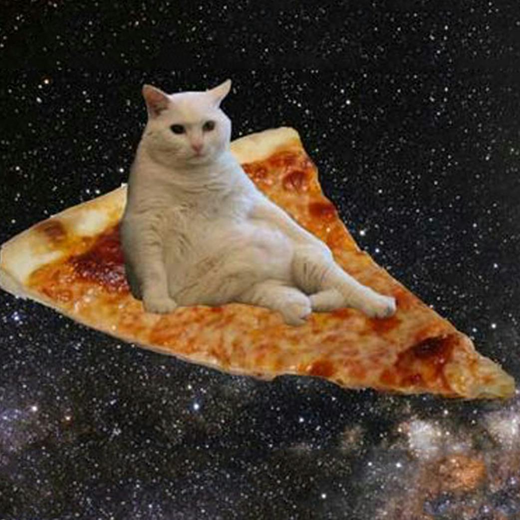 user avatar image for Pizzacat