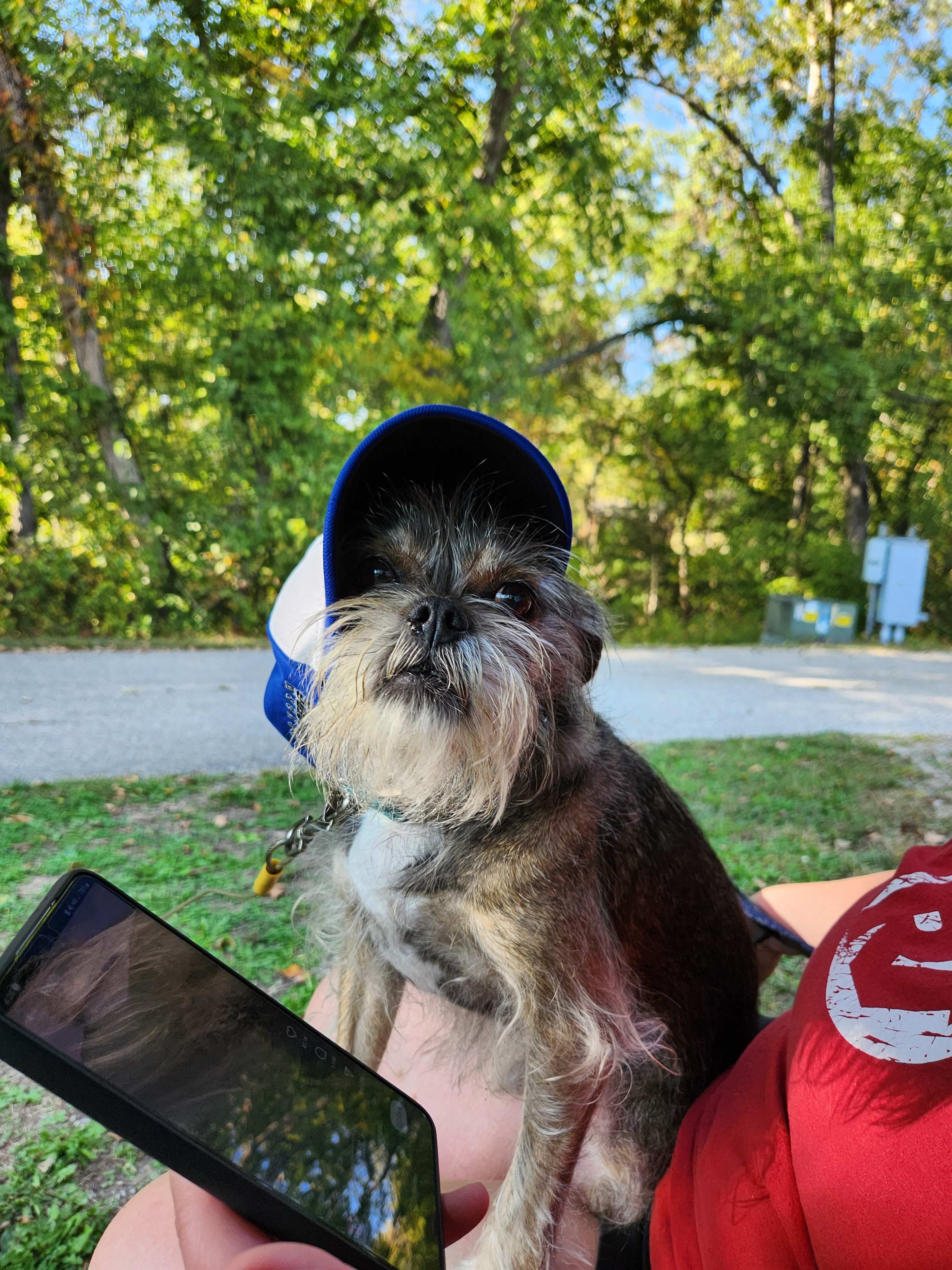 user avatar image for Tommy