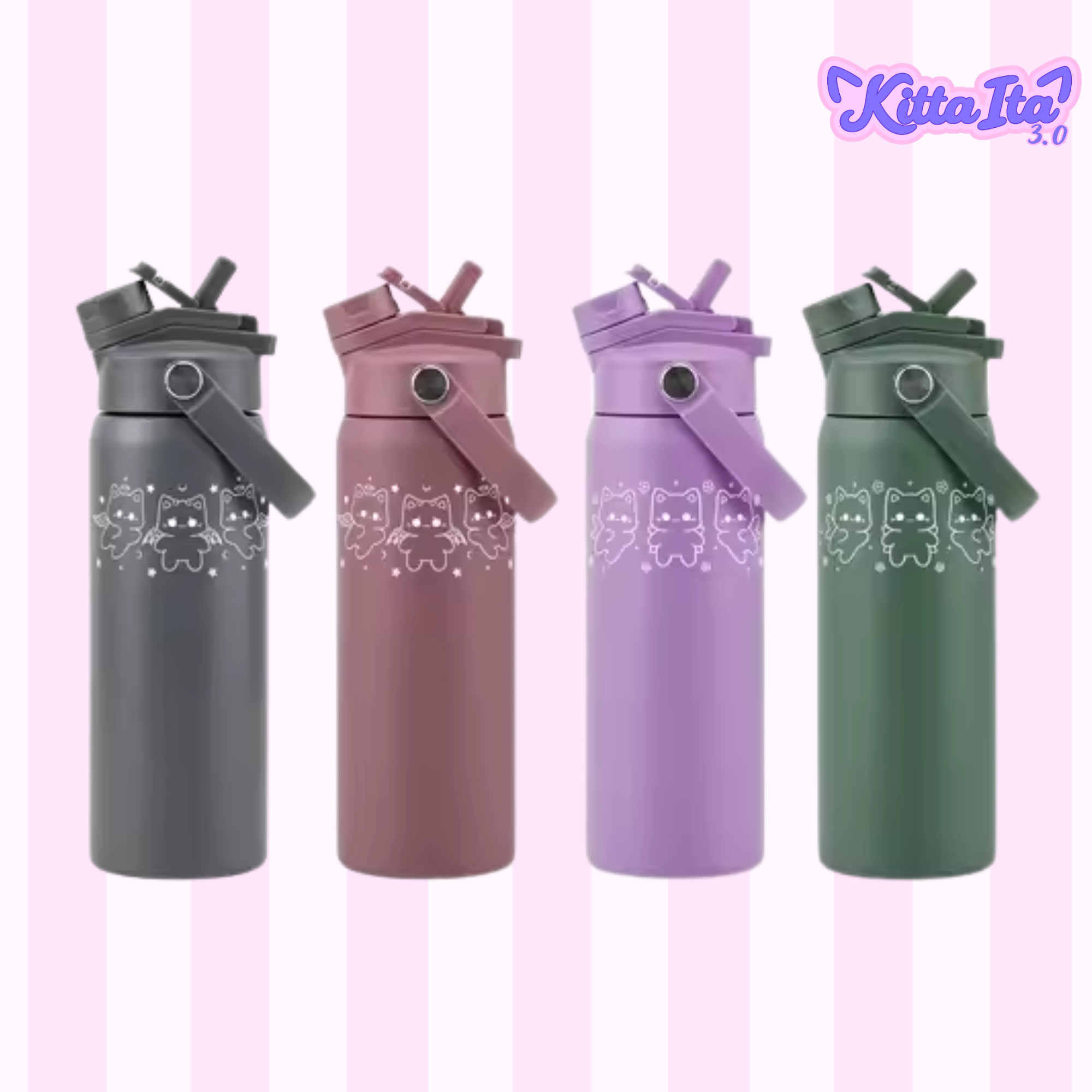 24oz Stainless Steel Water Bottle