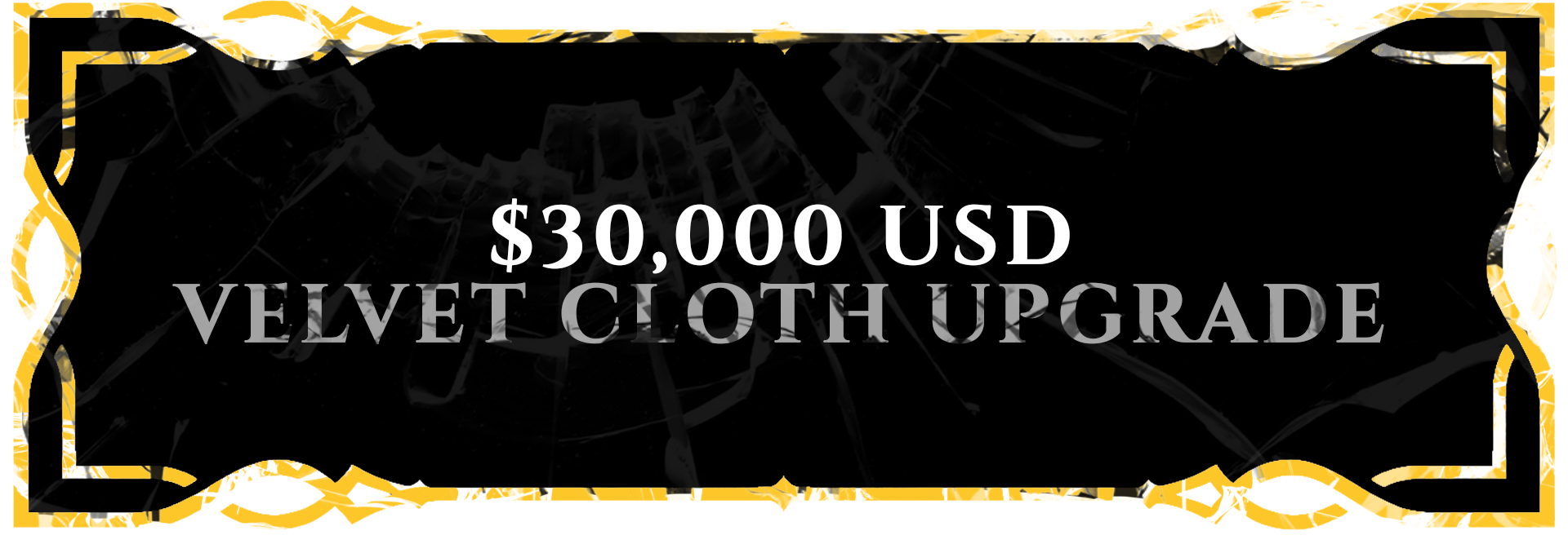 $30,000 Raised!